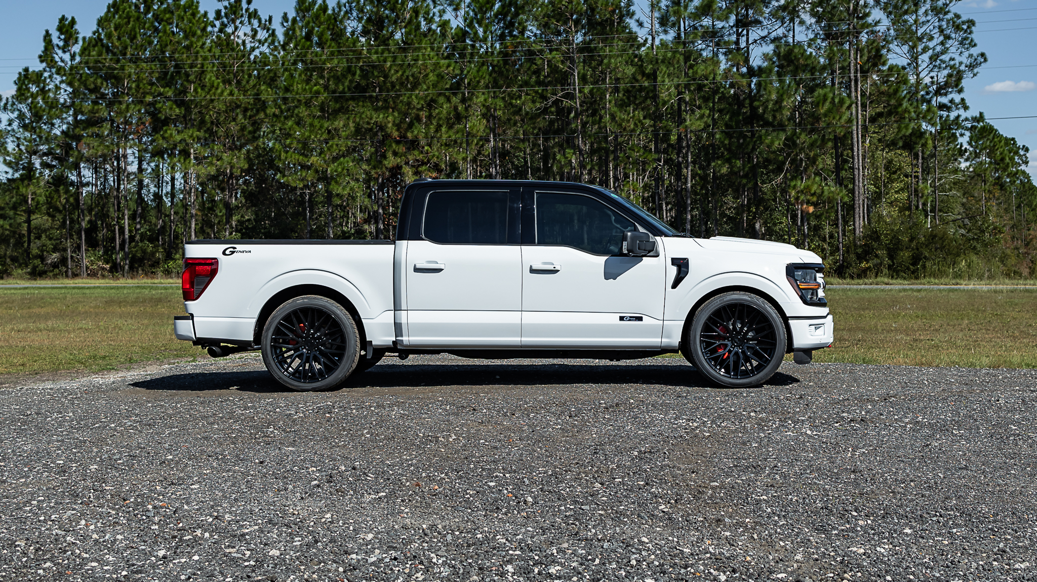 Ford F-150 Geneva White