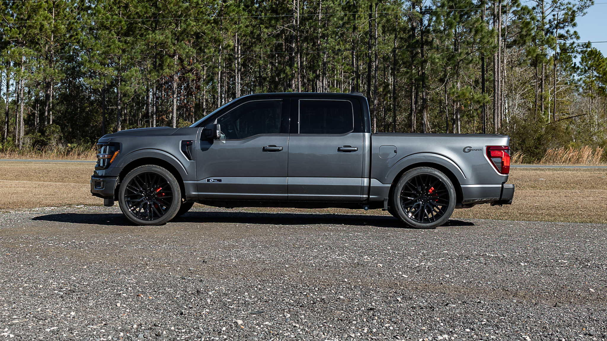 Ford F-150 Geneva Gray