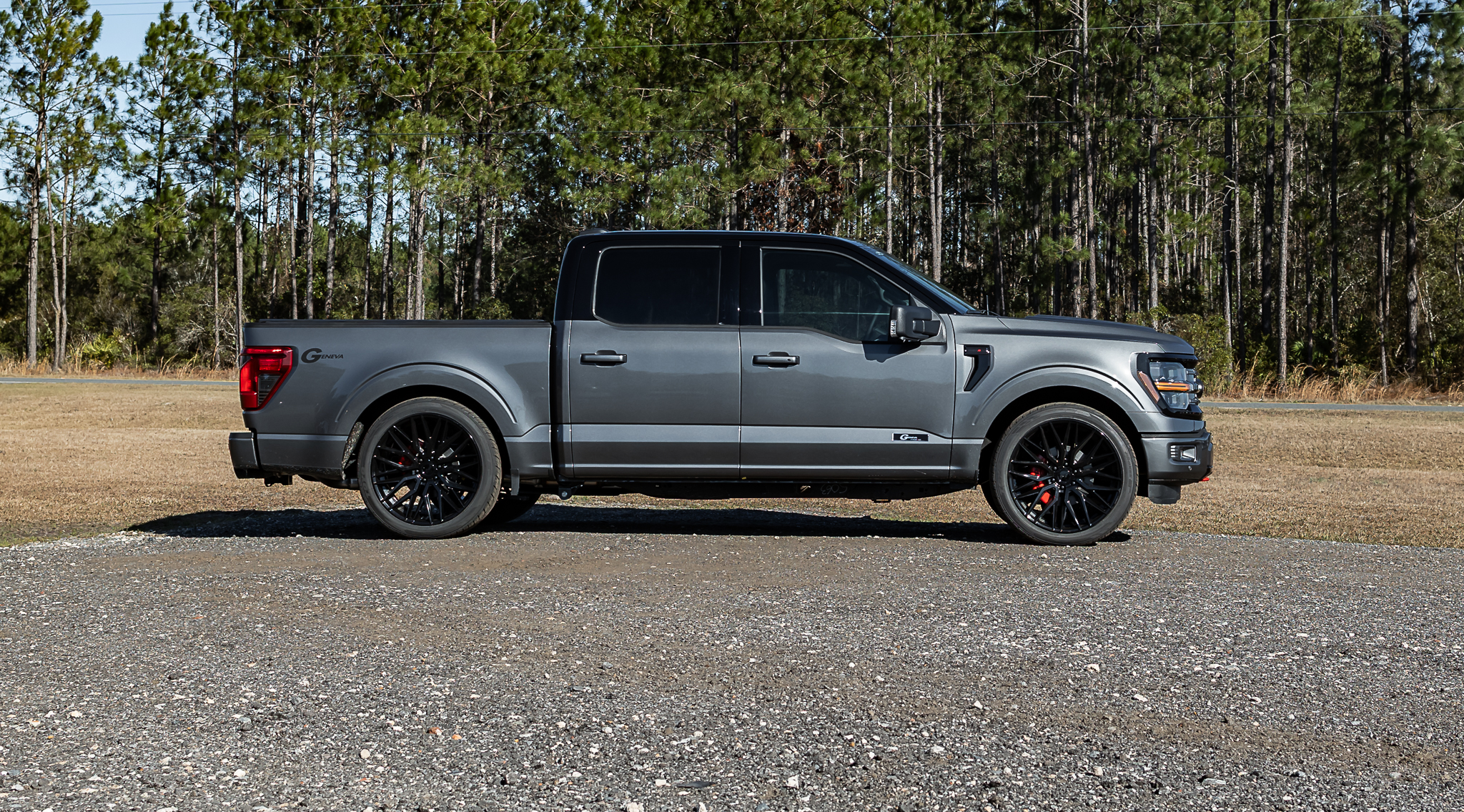 Ford F-150 Geneva Gray