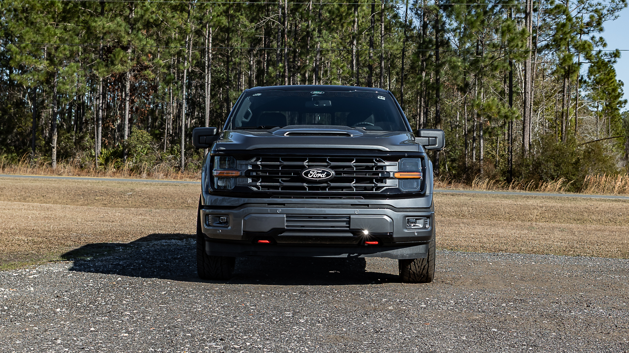 Ford F-150 Geneva Gray