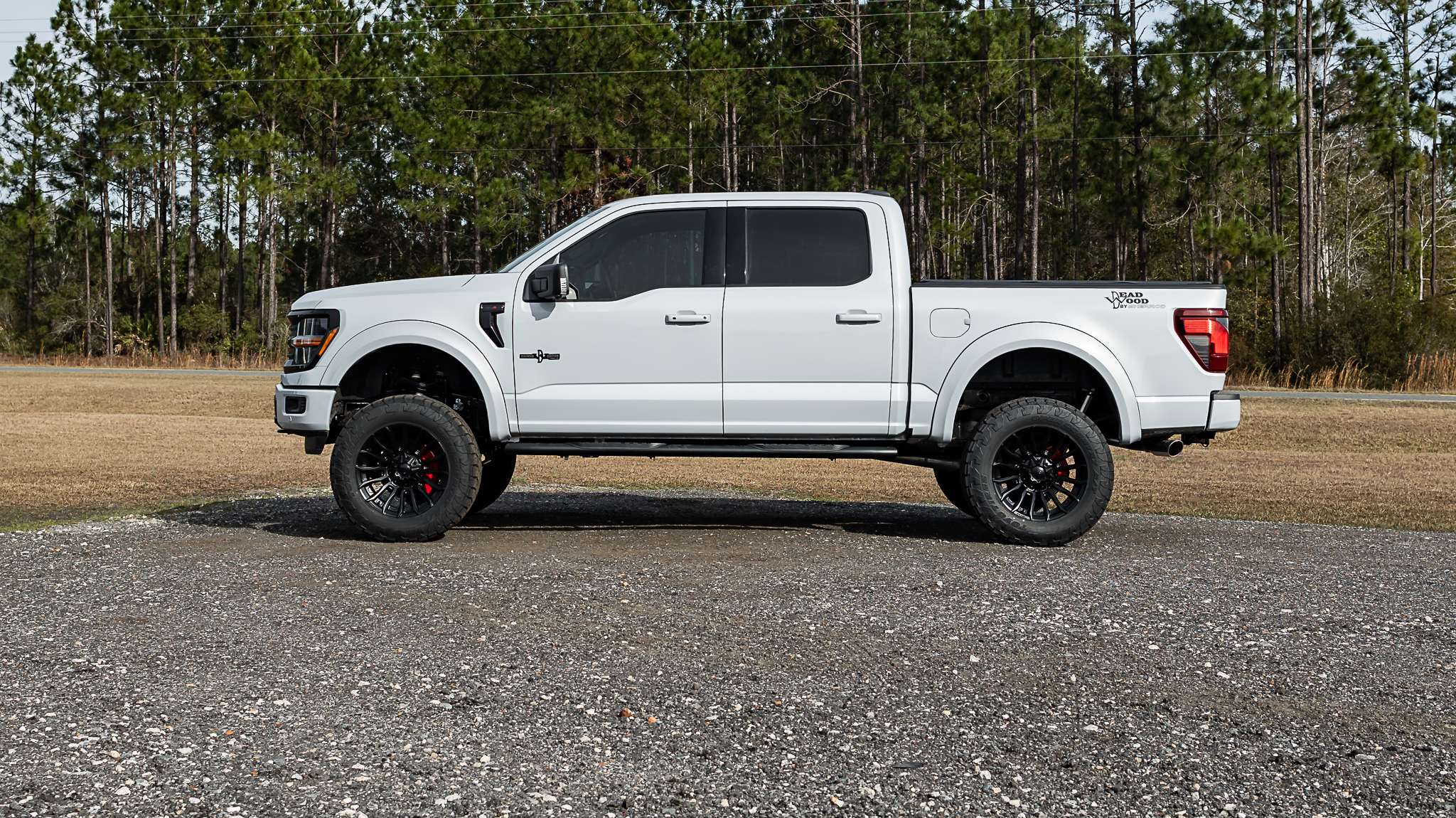 Ford F-150 Deadwood White