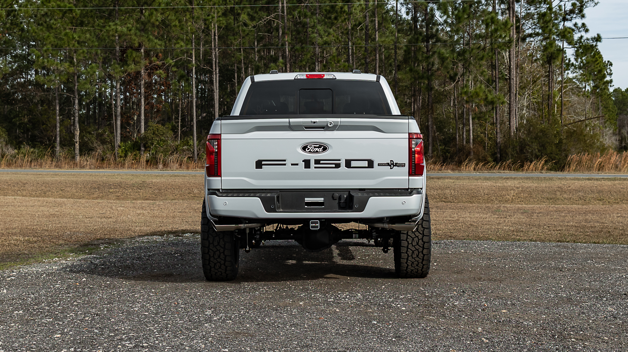 Ford F-150 Deadwood White