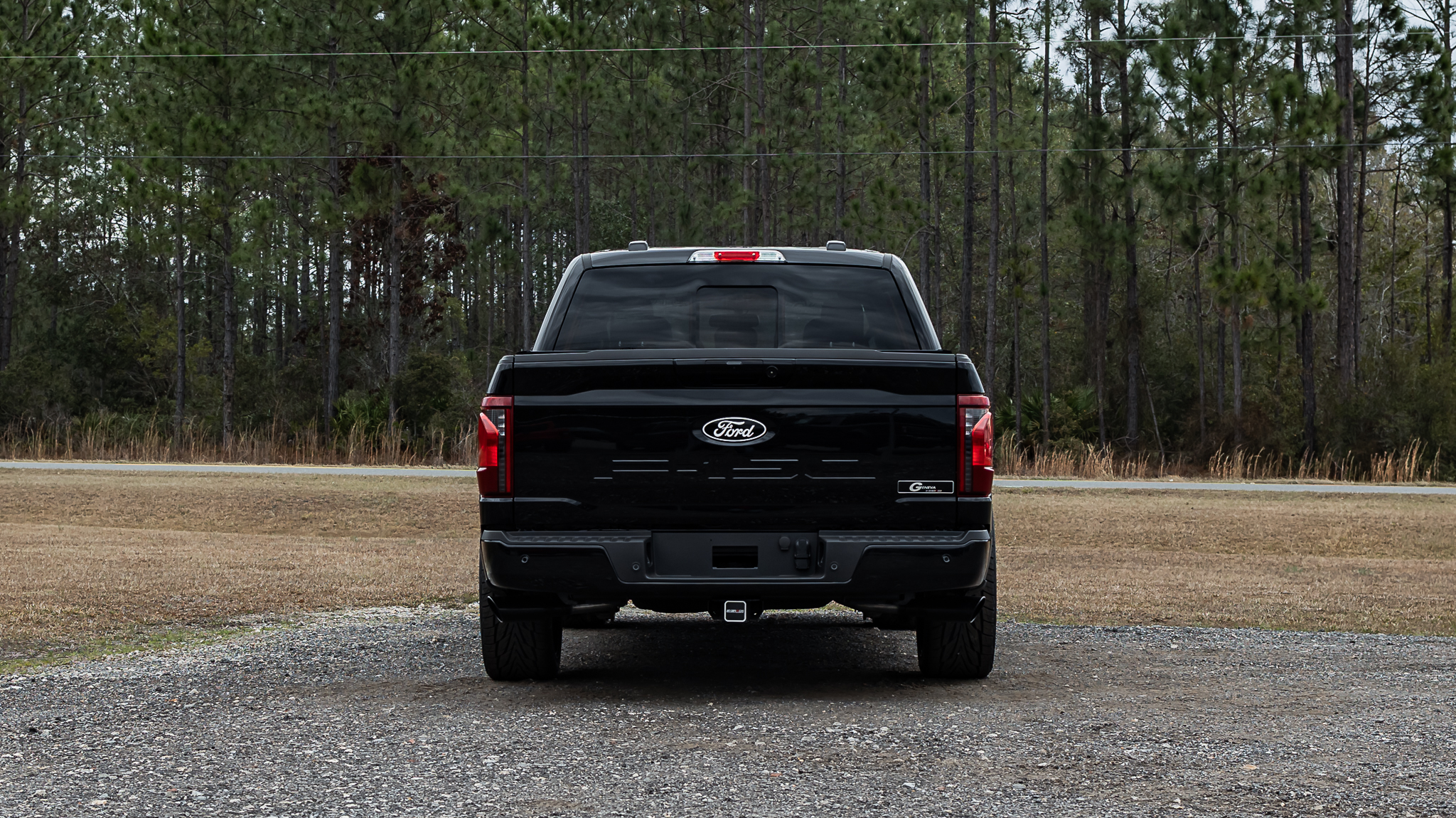 Ford F-150 Geneva Black