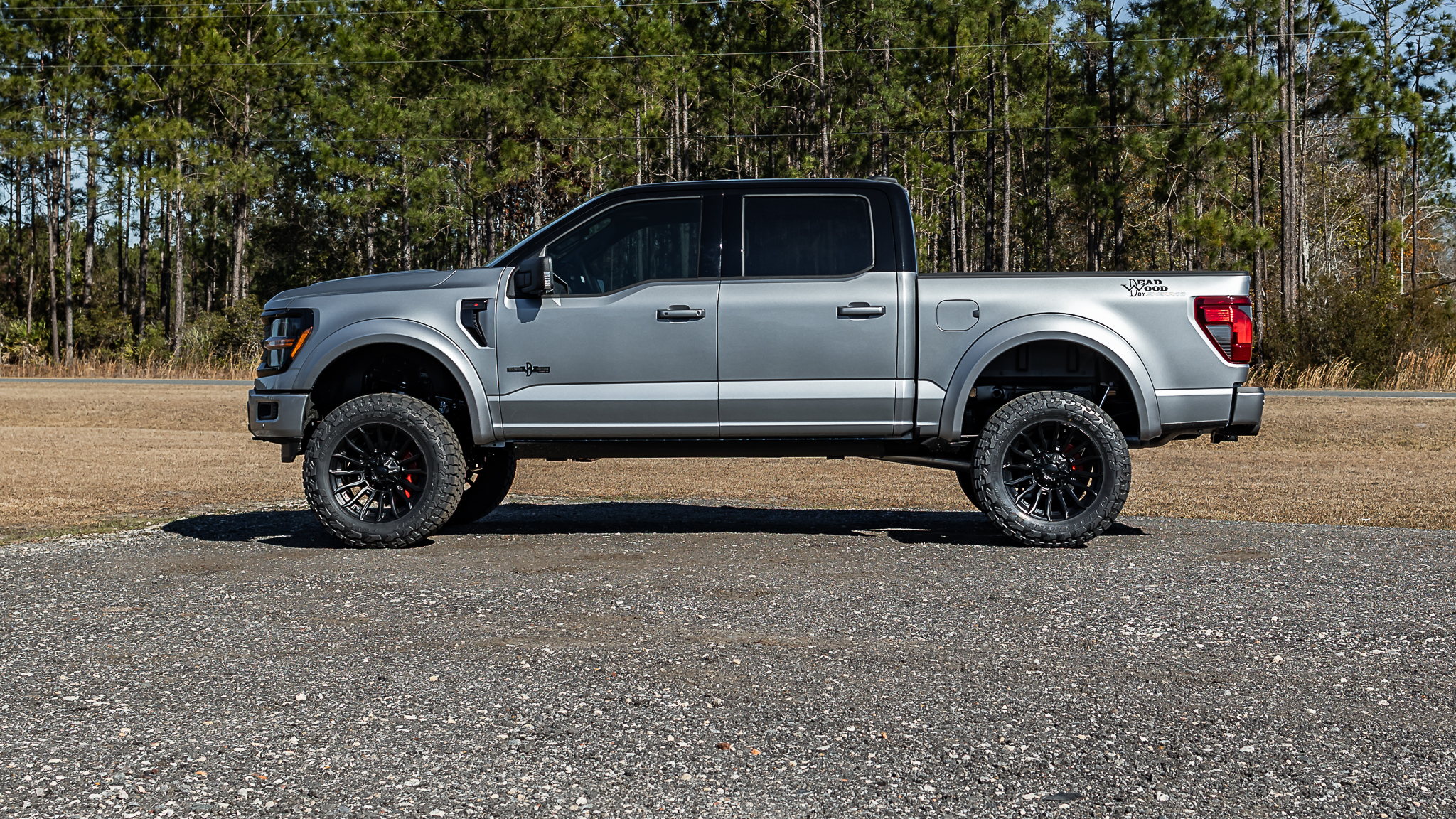 Ford F-150 Deadwood Smoke Iconic Silver