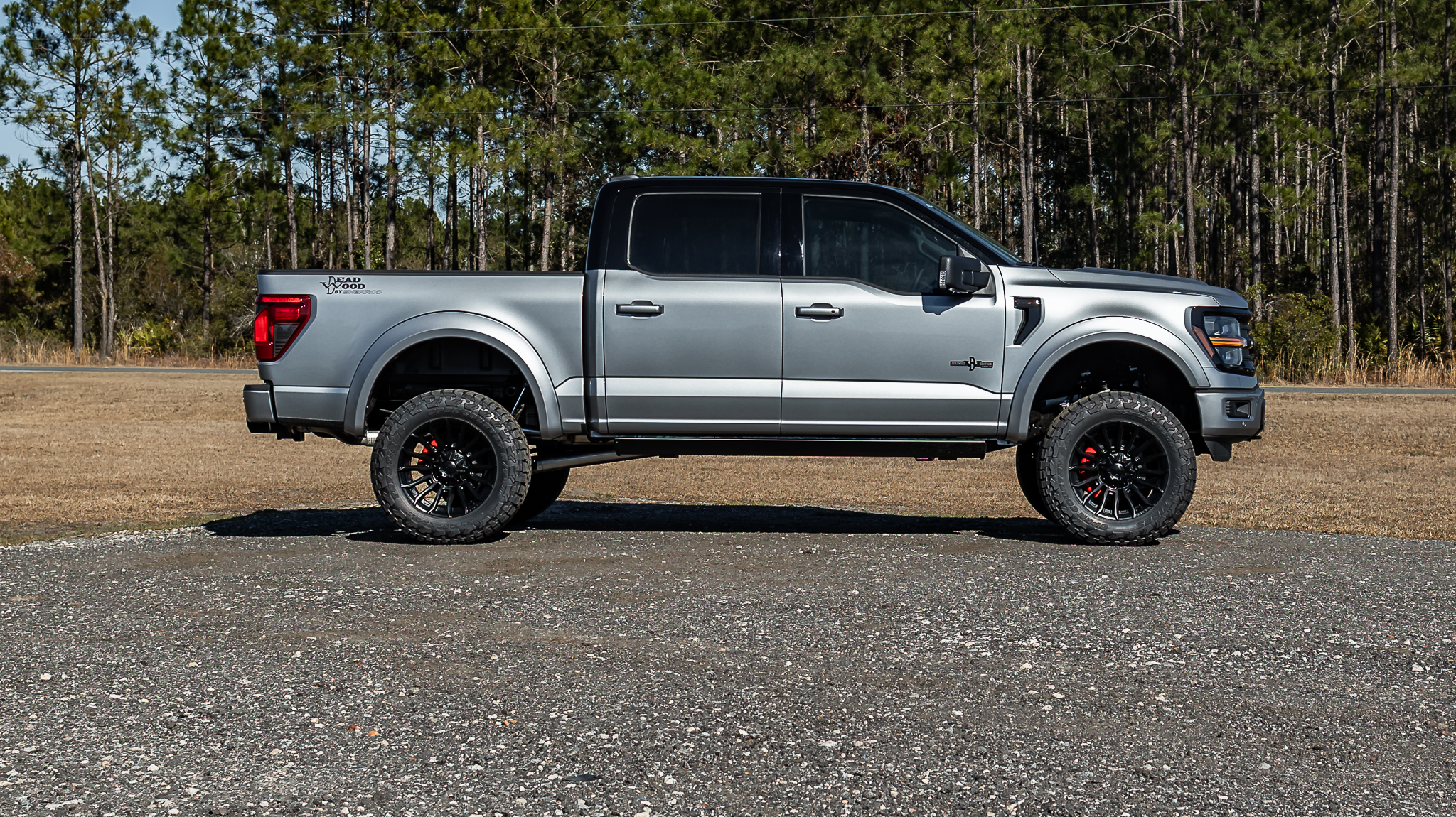 Ford F-150 Deadwood Smoke Iconic Silver