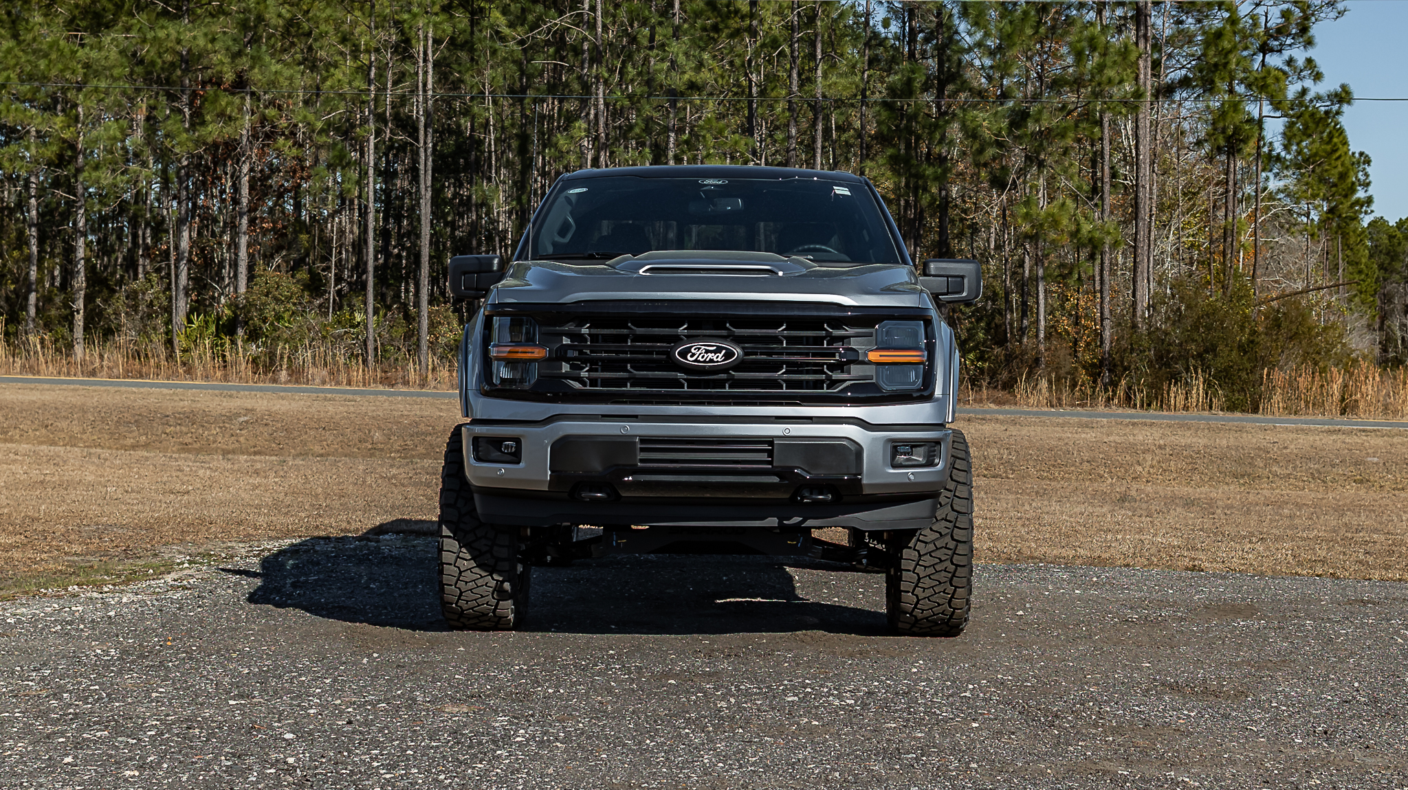 Ford F-150 Deadwood Smoke Iconic Silver