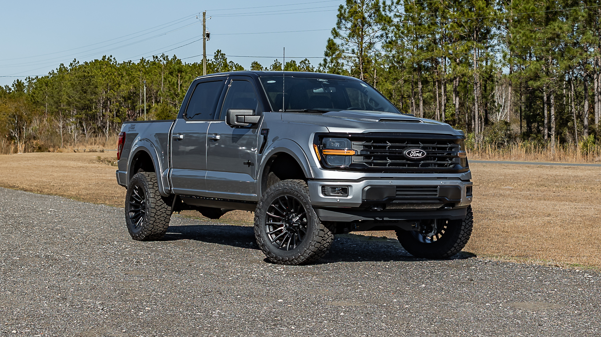 Ford F-150 Deadwood Smoke Iconic Silver