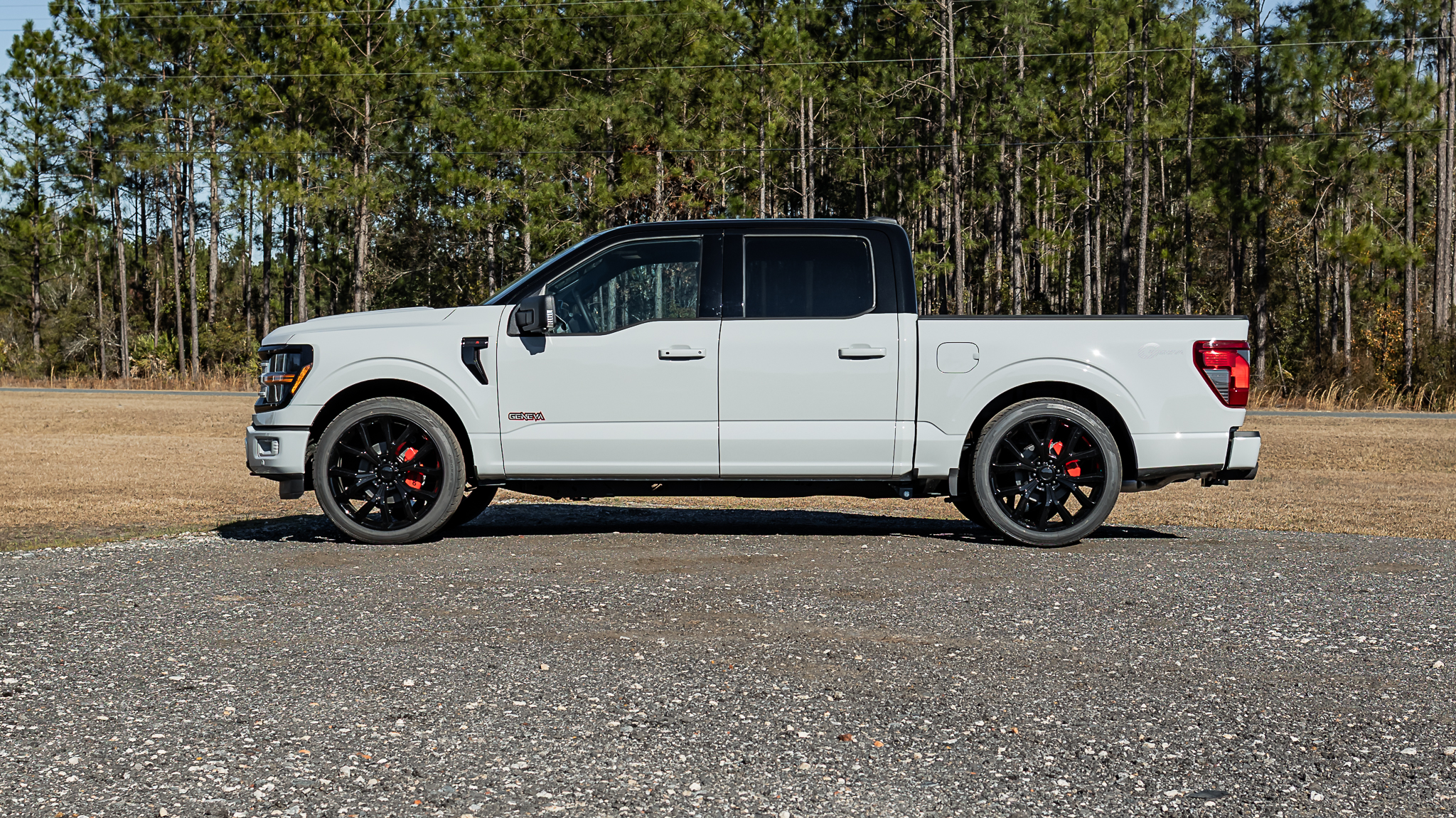 Ford F-150 Geneva Avalanche