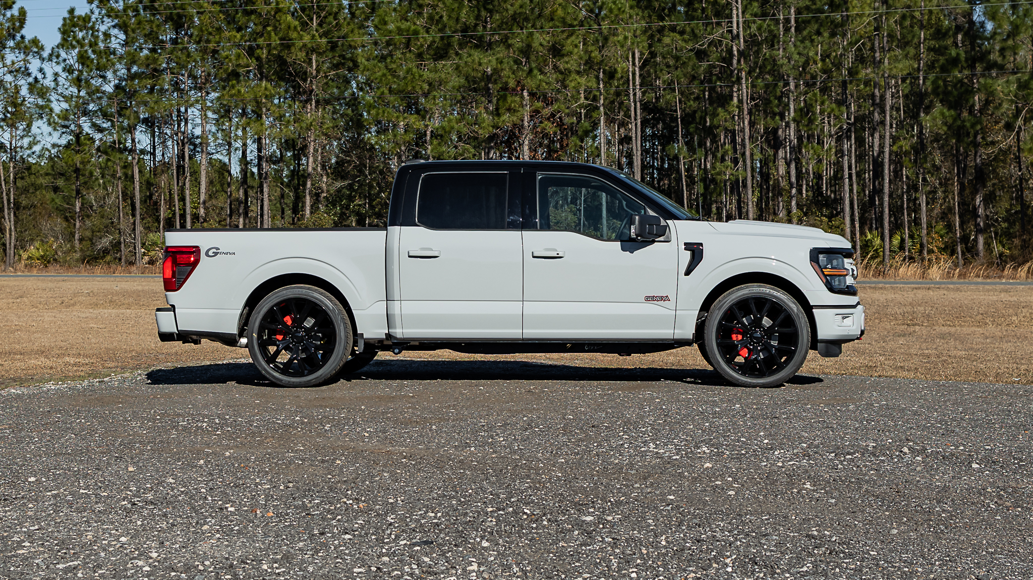 Ford F-150 Geneva Avalanche
