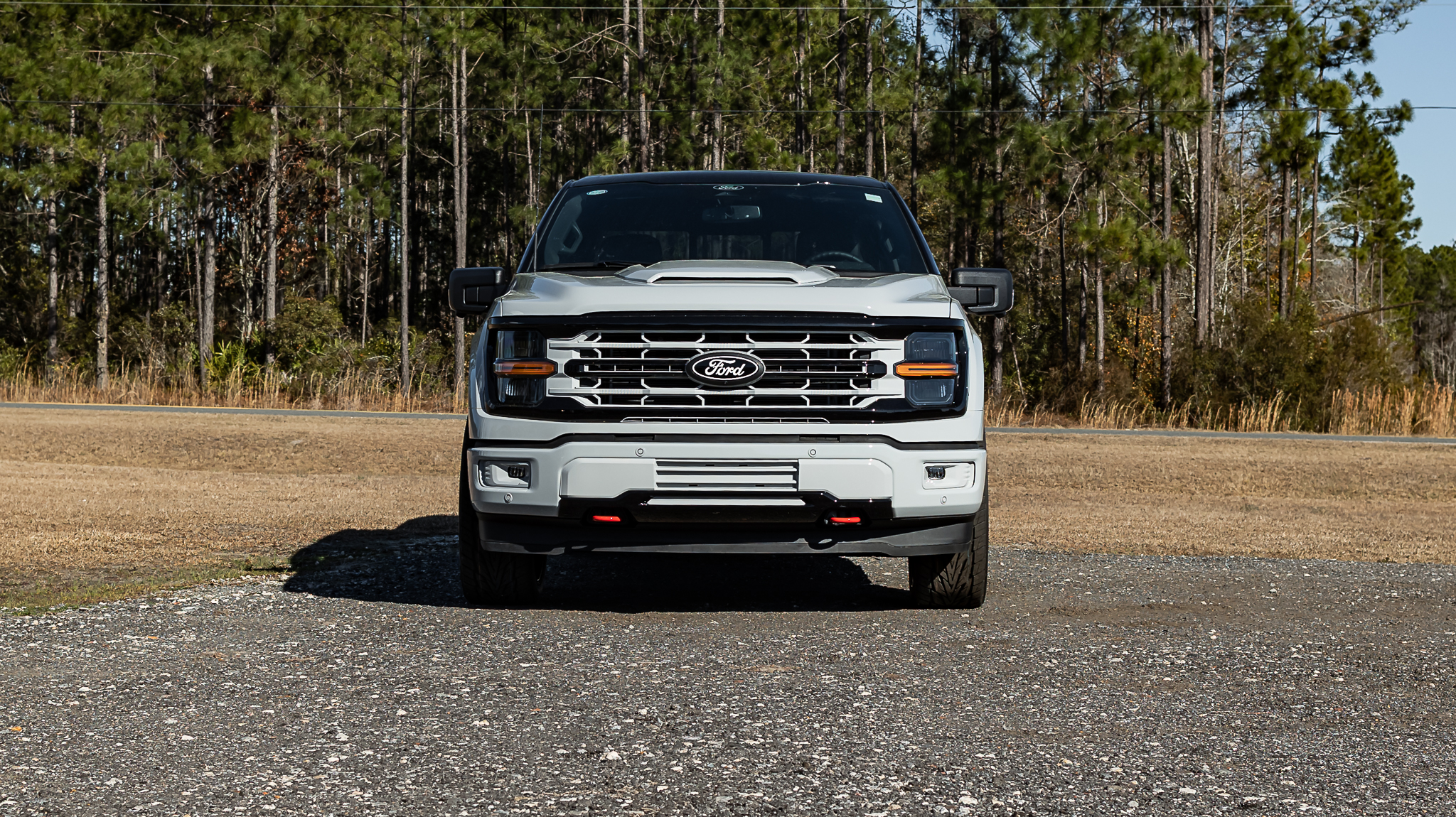 Ford F-150 Geneva Avalanche