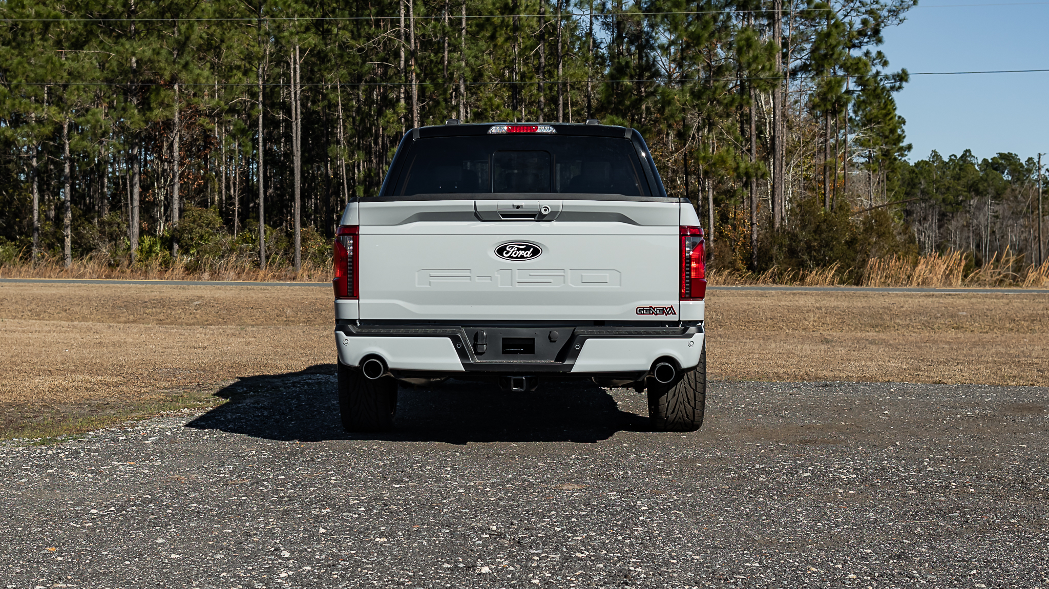 Ford F-150 Geneva Avalanche