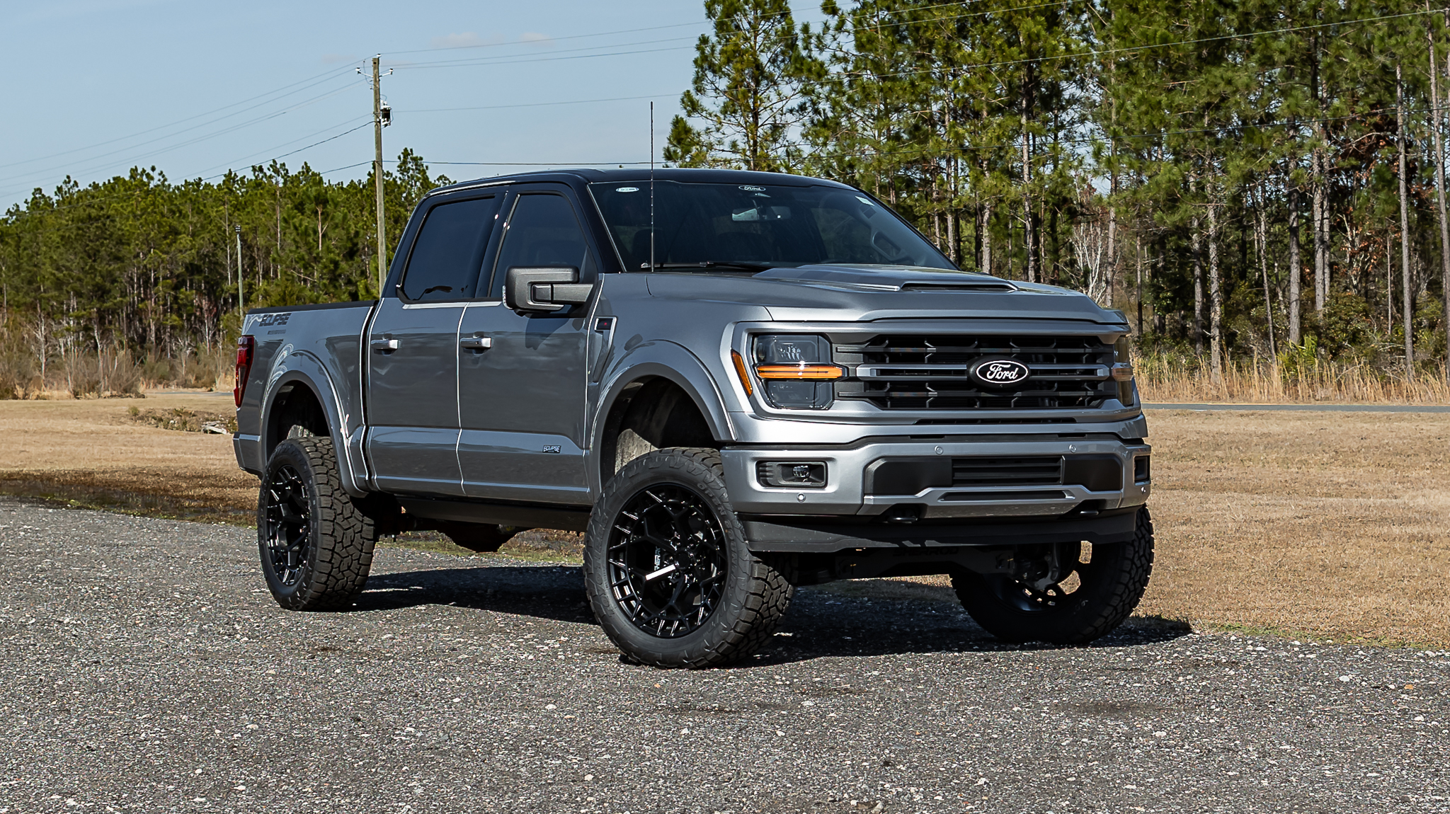 Ford F-150 Eclipse - Iconic Silver