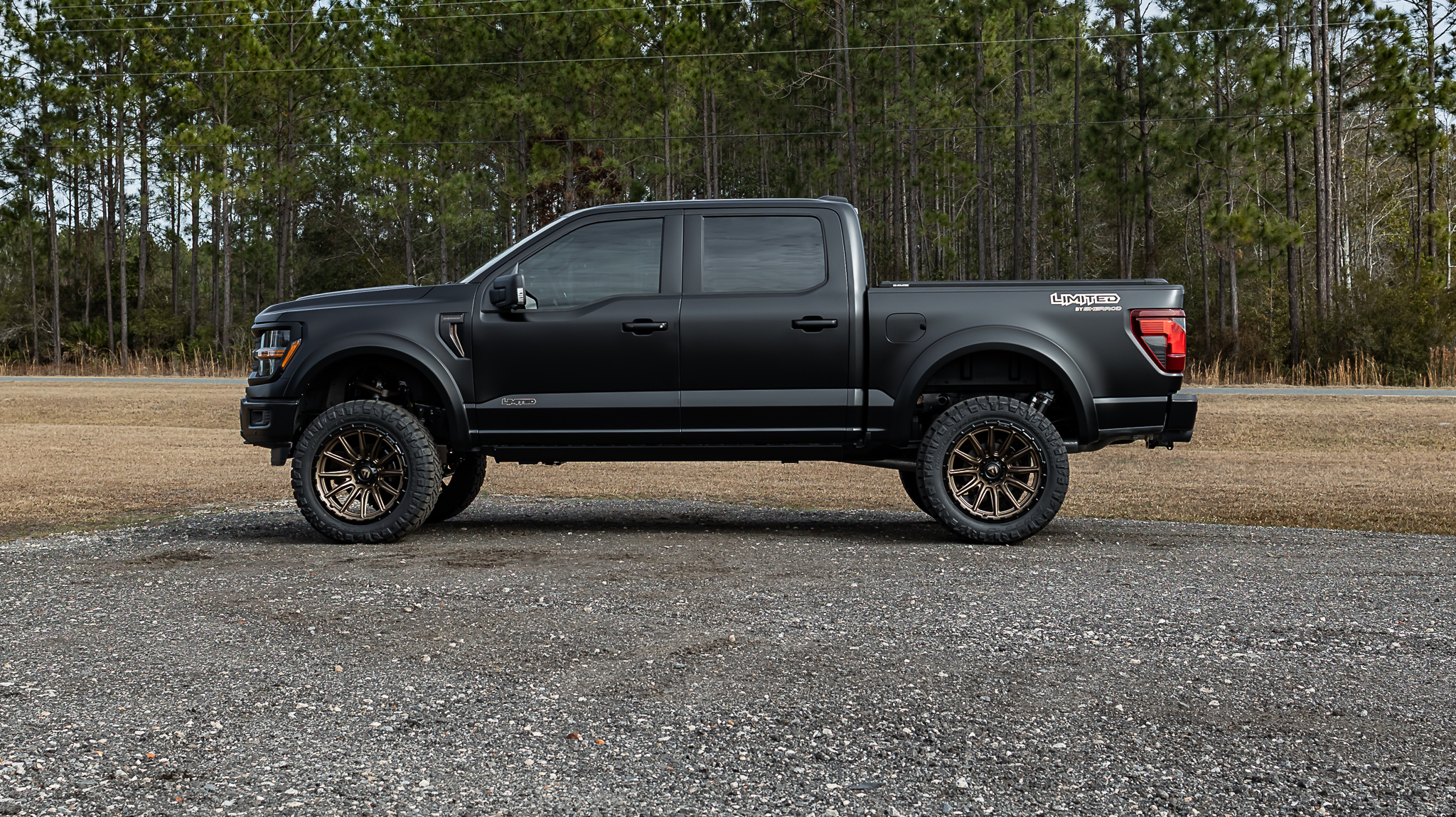 Ford F-150 Limited Matte Black