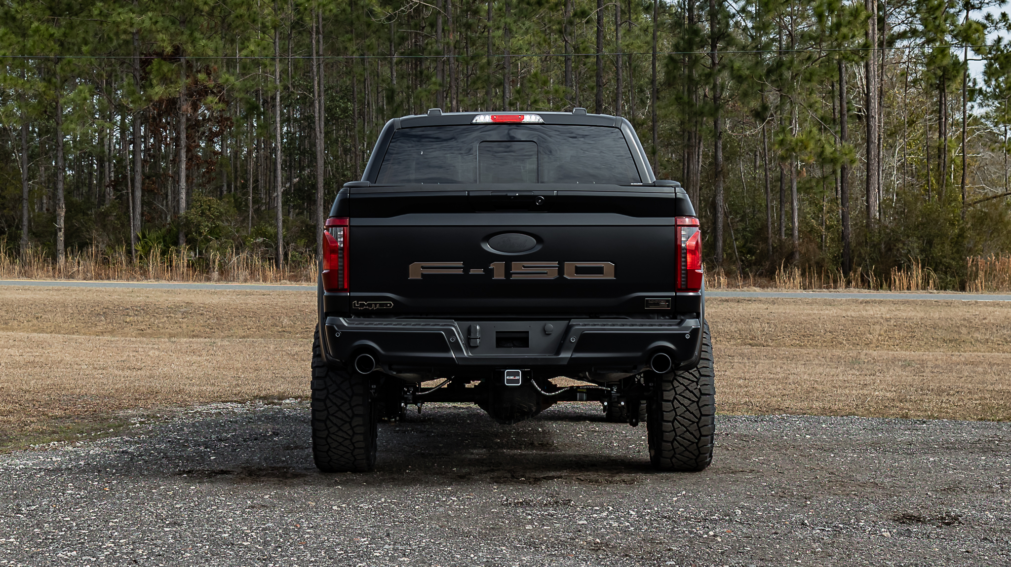 Ford F-150 Limited Matte Black