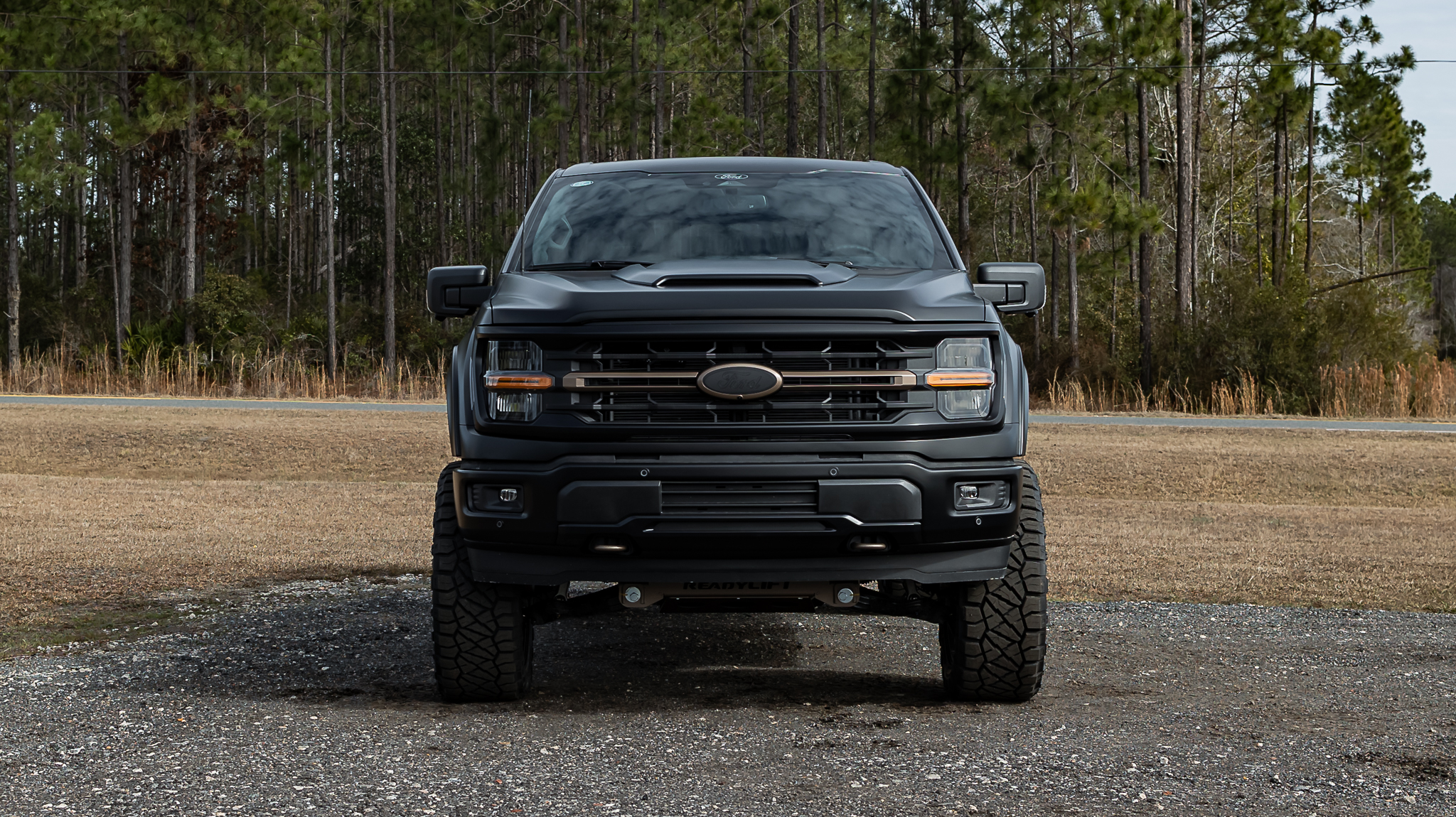 Ford F-150 Limited Matte Black