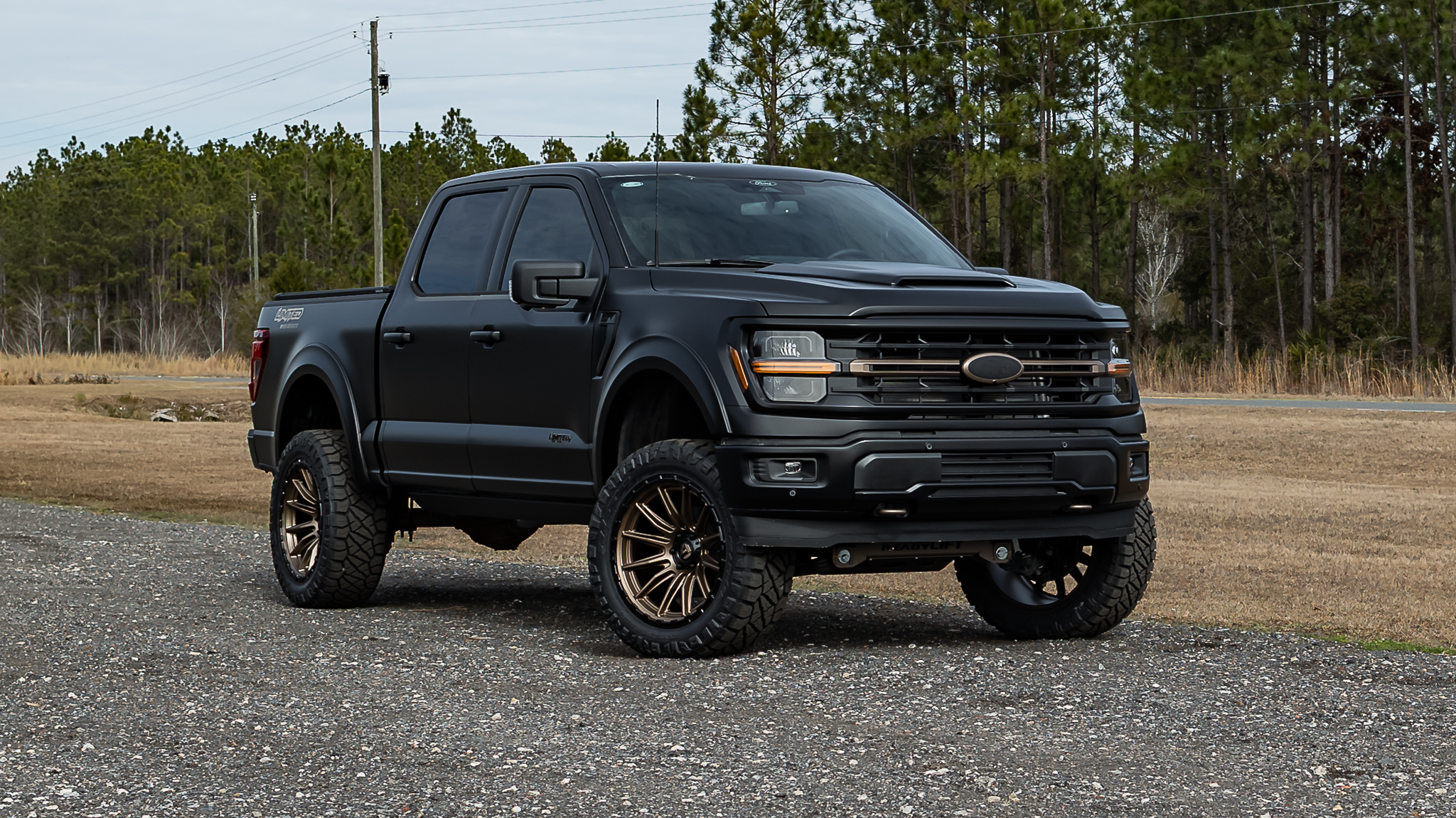 Ford F-150 Limited Matte Black