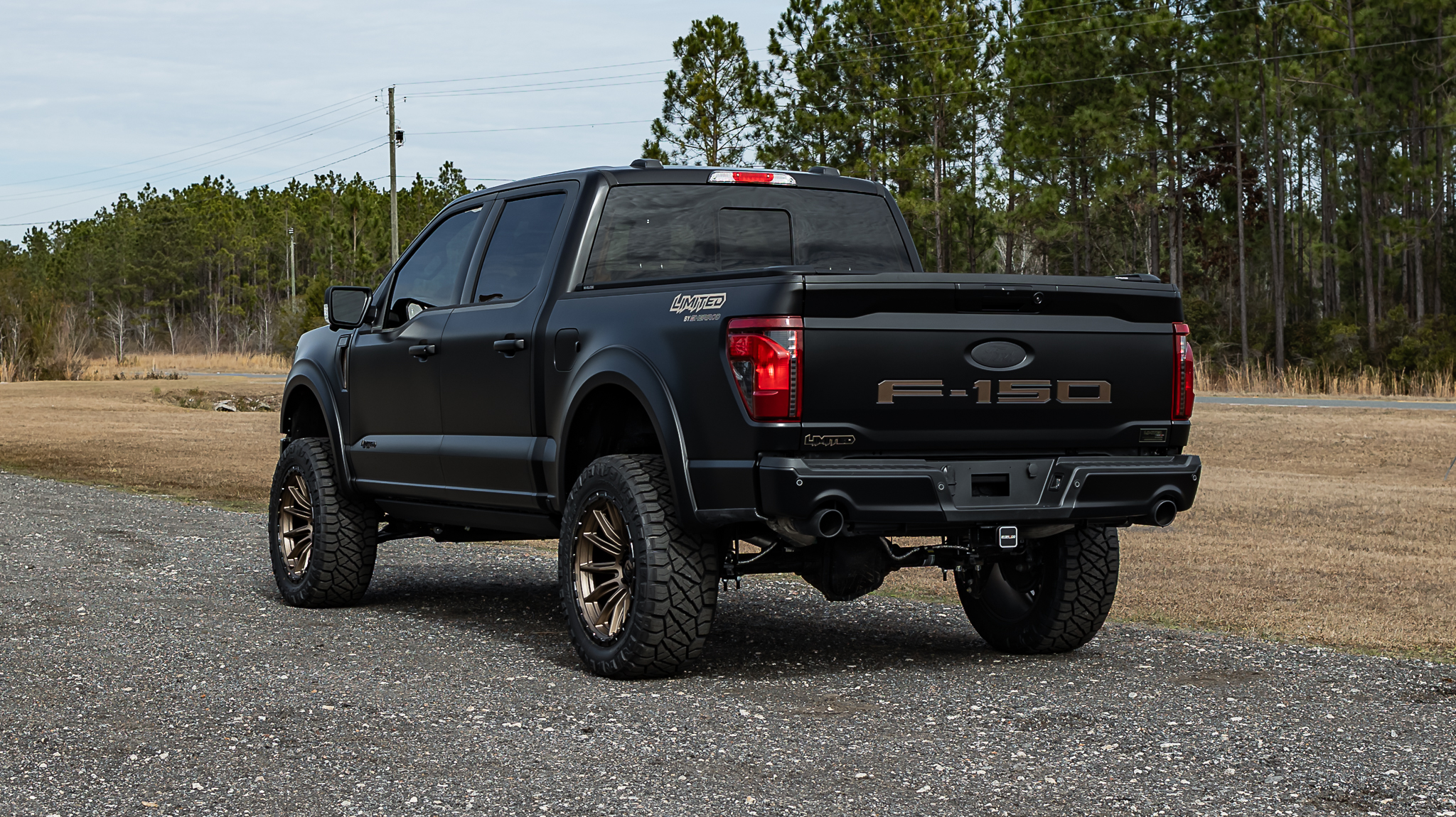 Ford F-150 Limited Matte Black