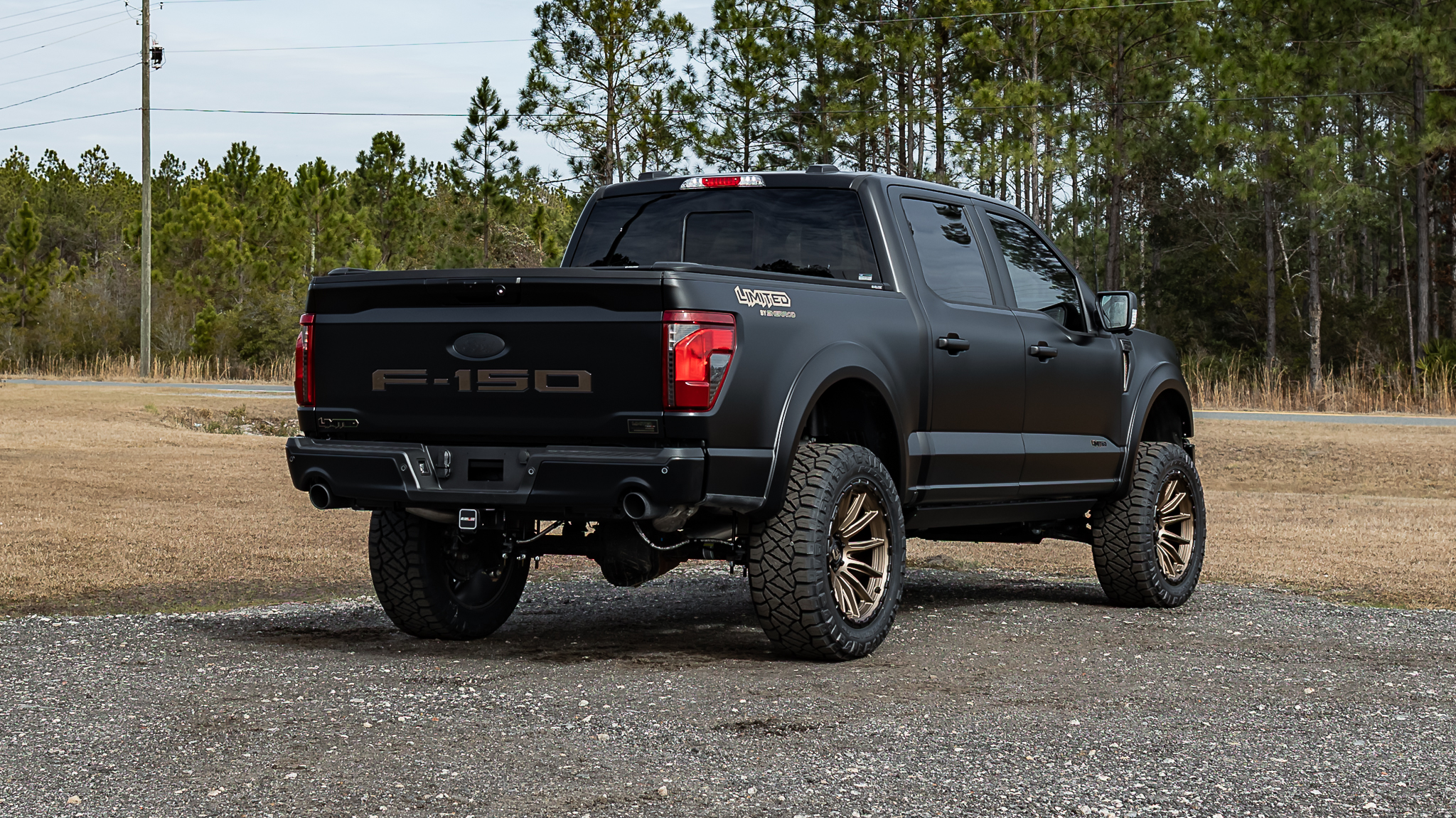 Ford F-150 Limited Matte Black