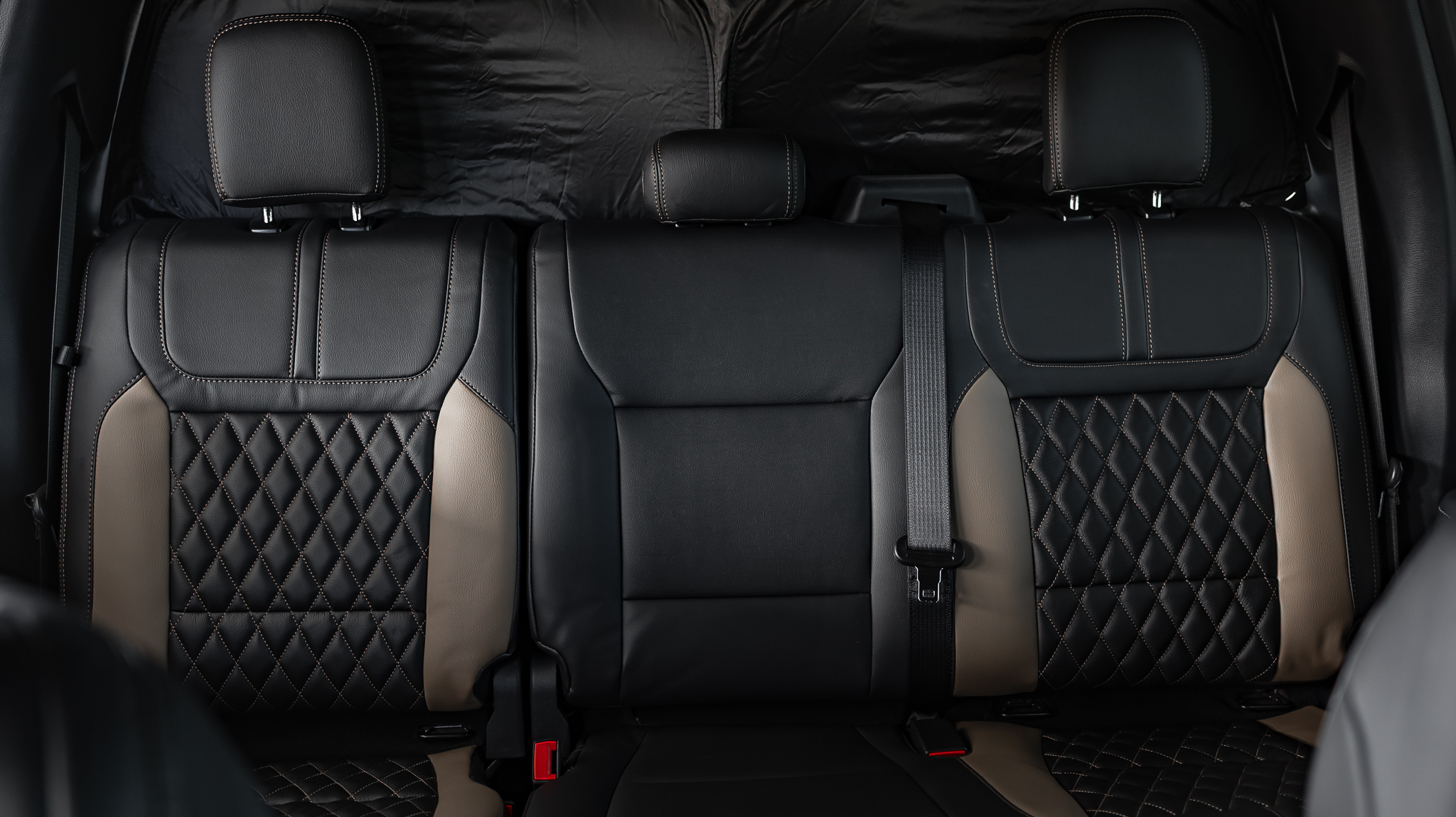 Ford F-150 Limited Matte Black