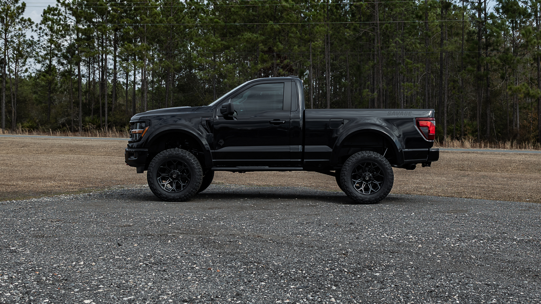Ford F-150 Savage Reg Cab Agate Black