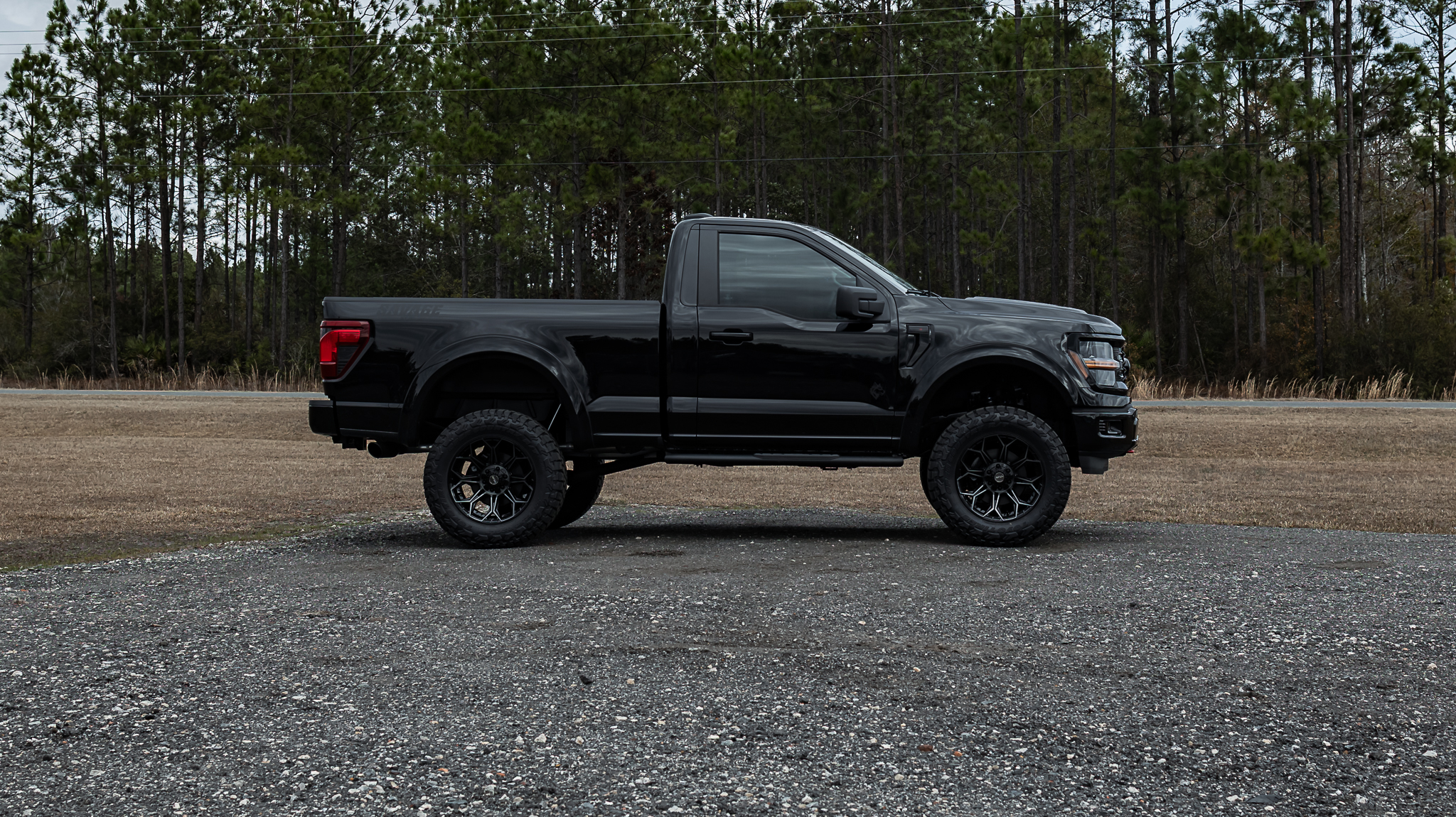 Ford F-150 Savage Reg Cab Agate Black