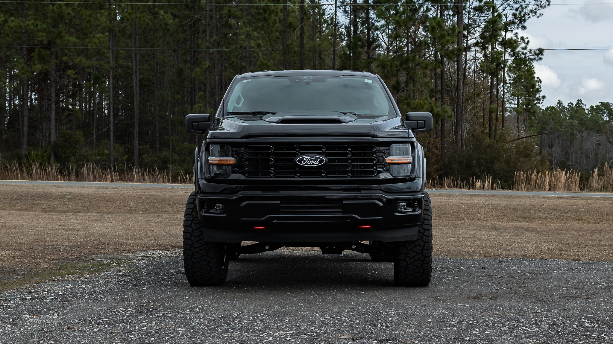 Ford F-150 Savage Reg Cab Agate Black