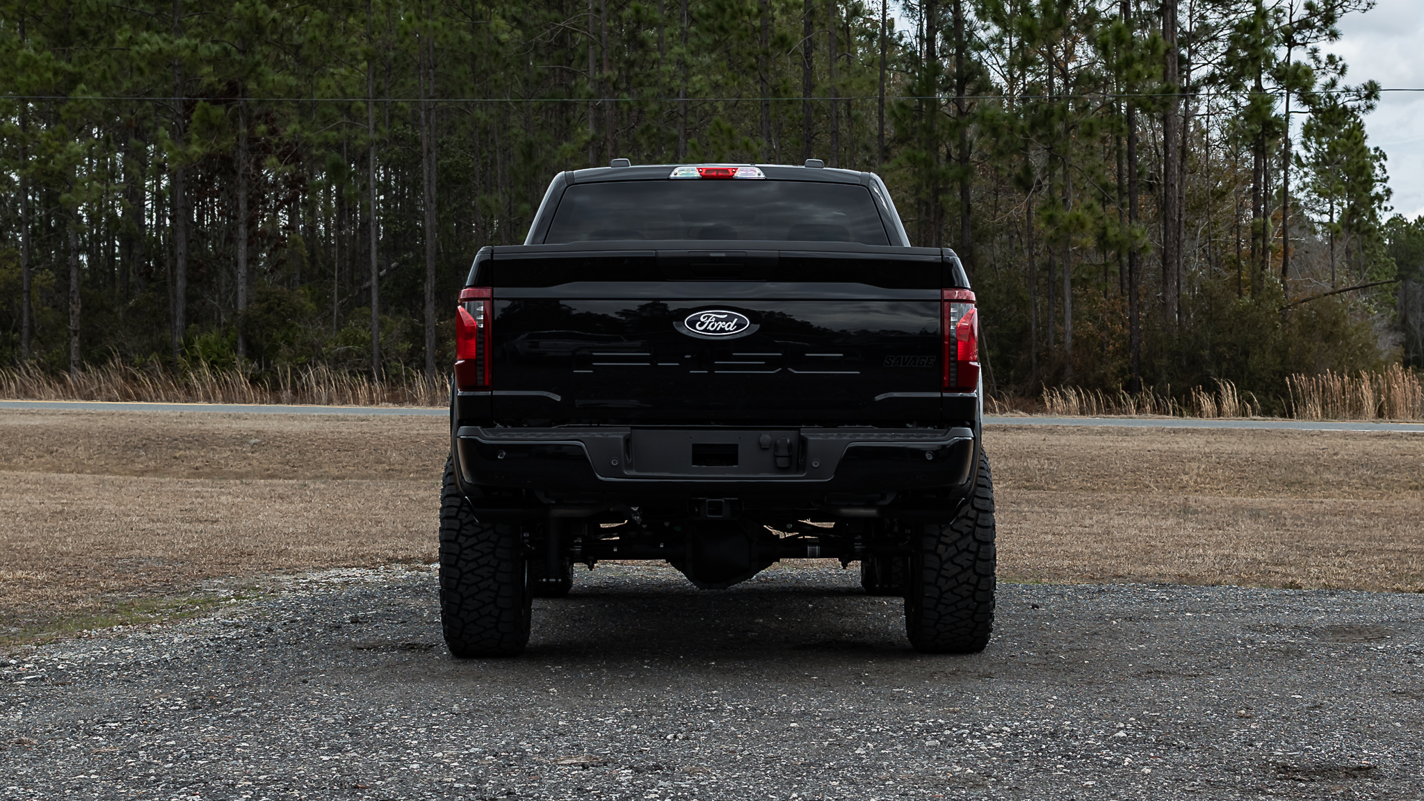 Ford F-150 Savage Reg Cab Agate Black