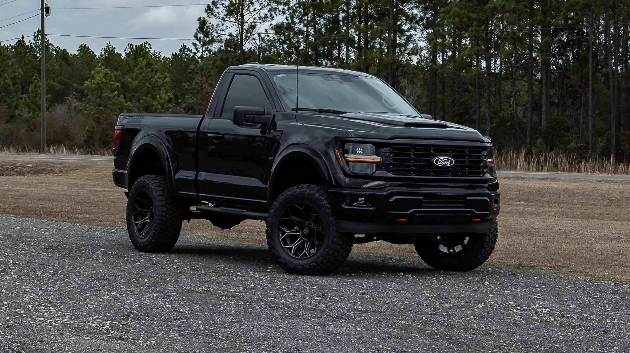 Ford F-150 Savage Reg Cab Agate Black