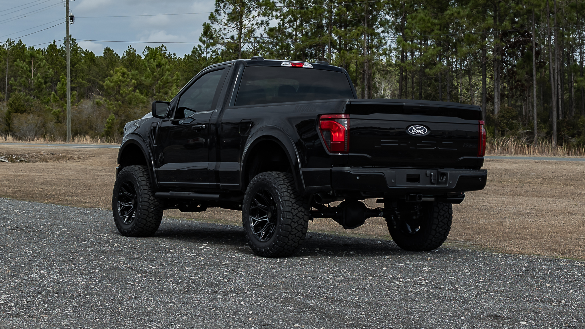 Ford F-150 Savage Reg Cab Agate Black