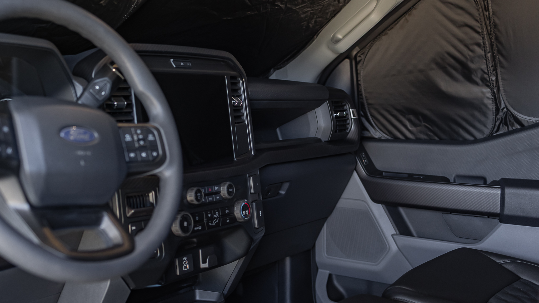 Ford F-150 Savage Reg Cab Agate Black