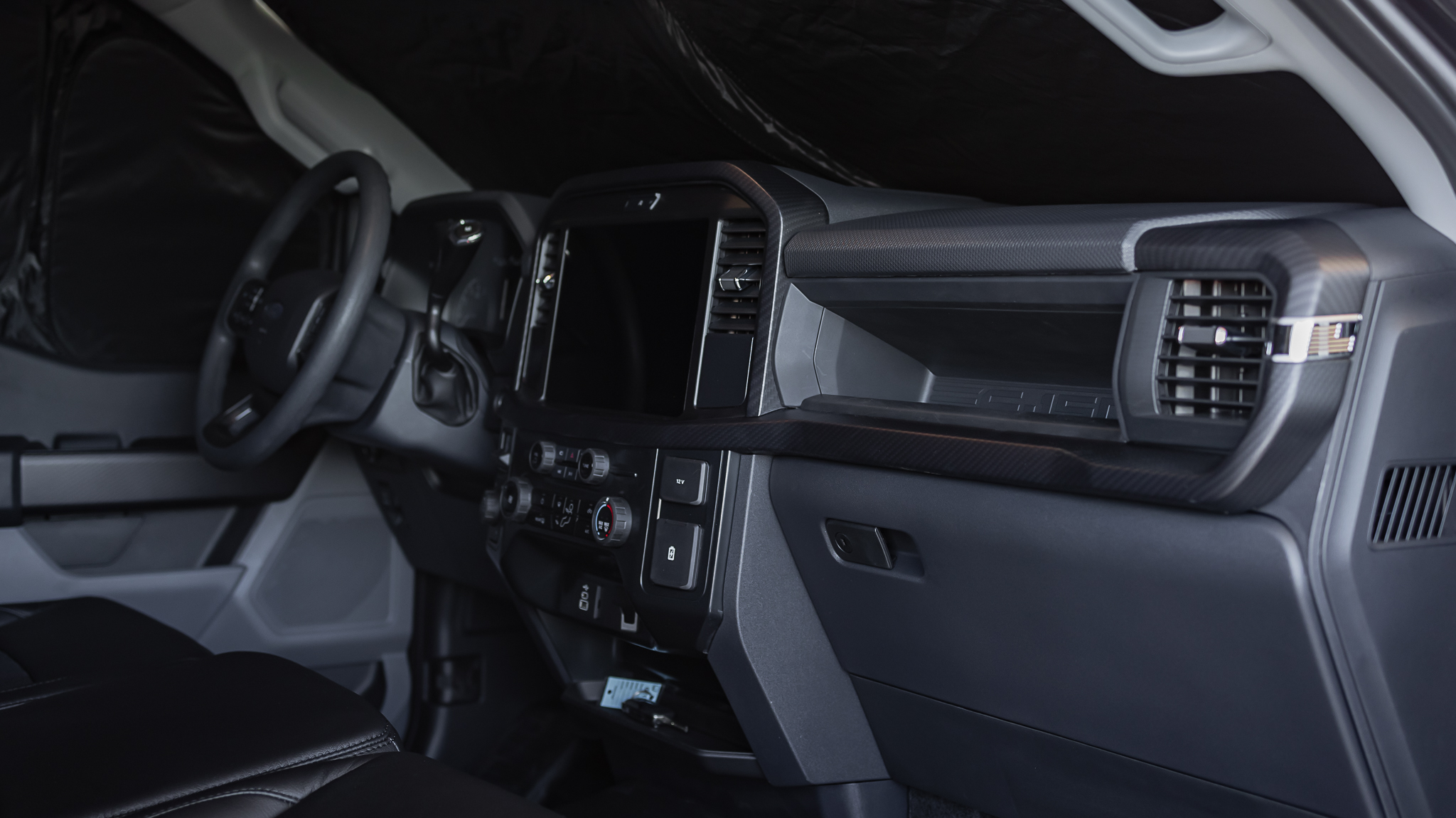 Ford F-150 Savage Reg Cab Agate Black