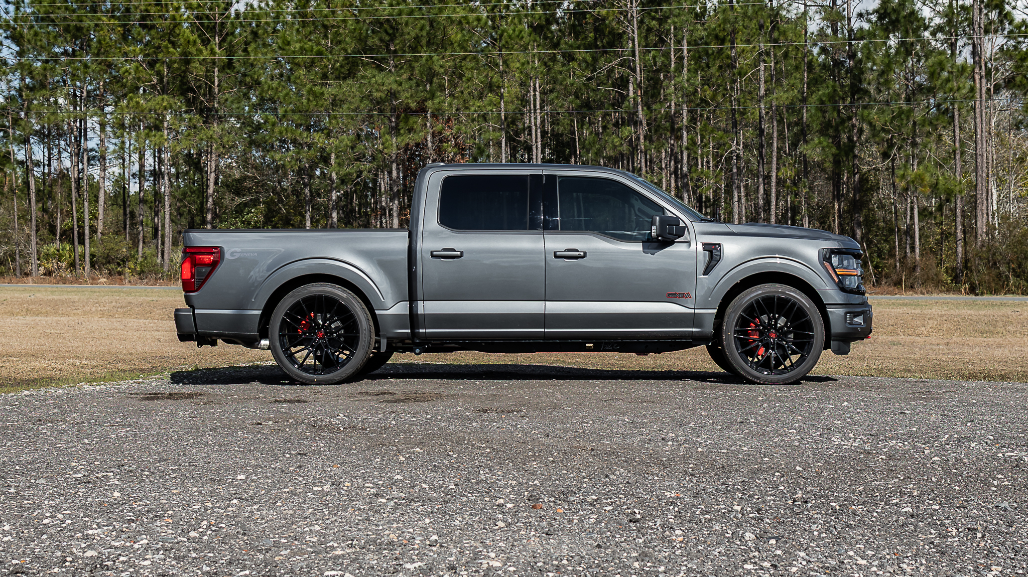 Ford F-150 Geneva Carbonized Gray