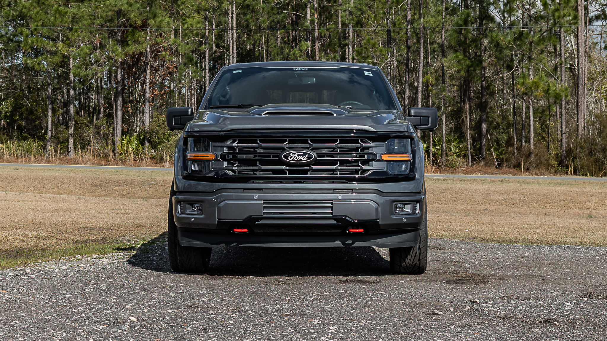 Ford F-150 Geneva Carbonized Gray