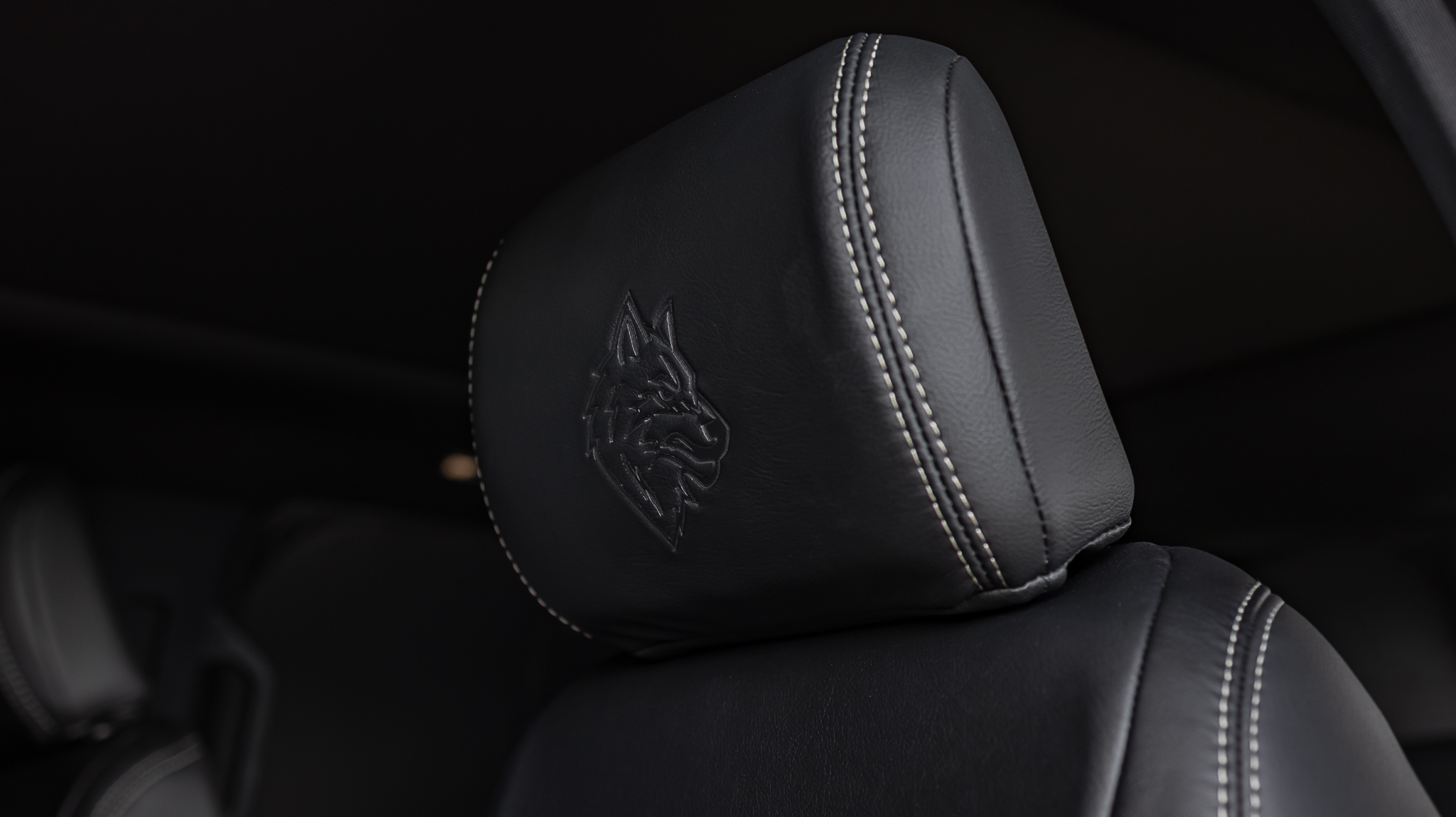 Ford F-150 Savage Carbonized Gray