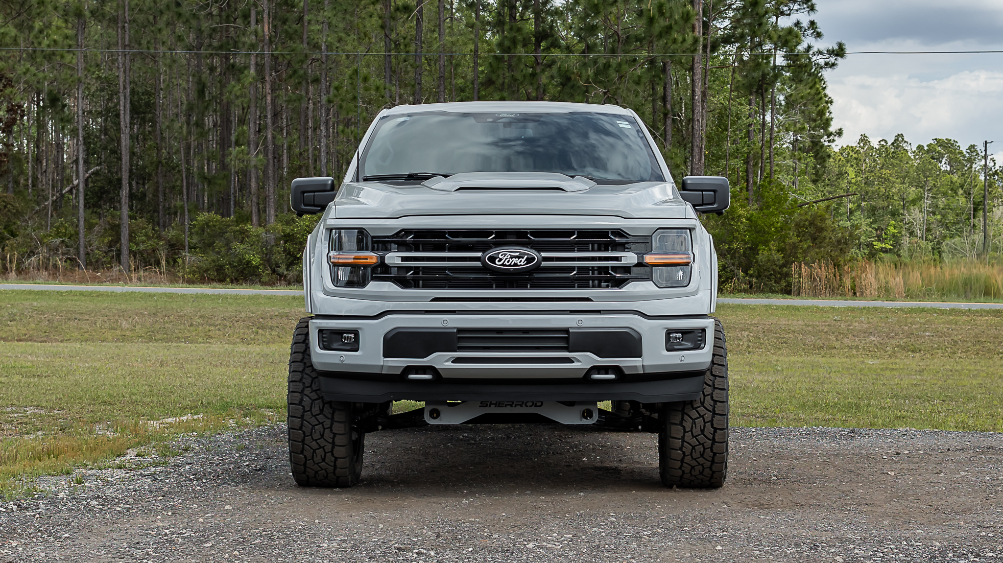 Ford F-150 Savage Avalanche