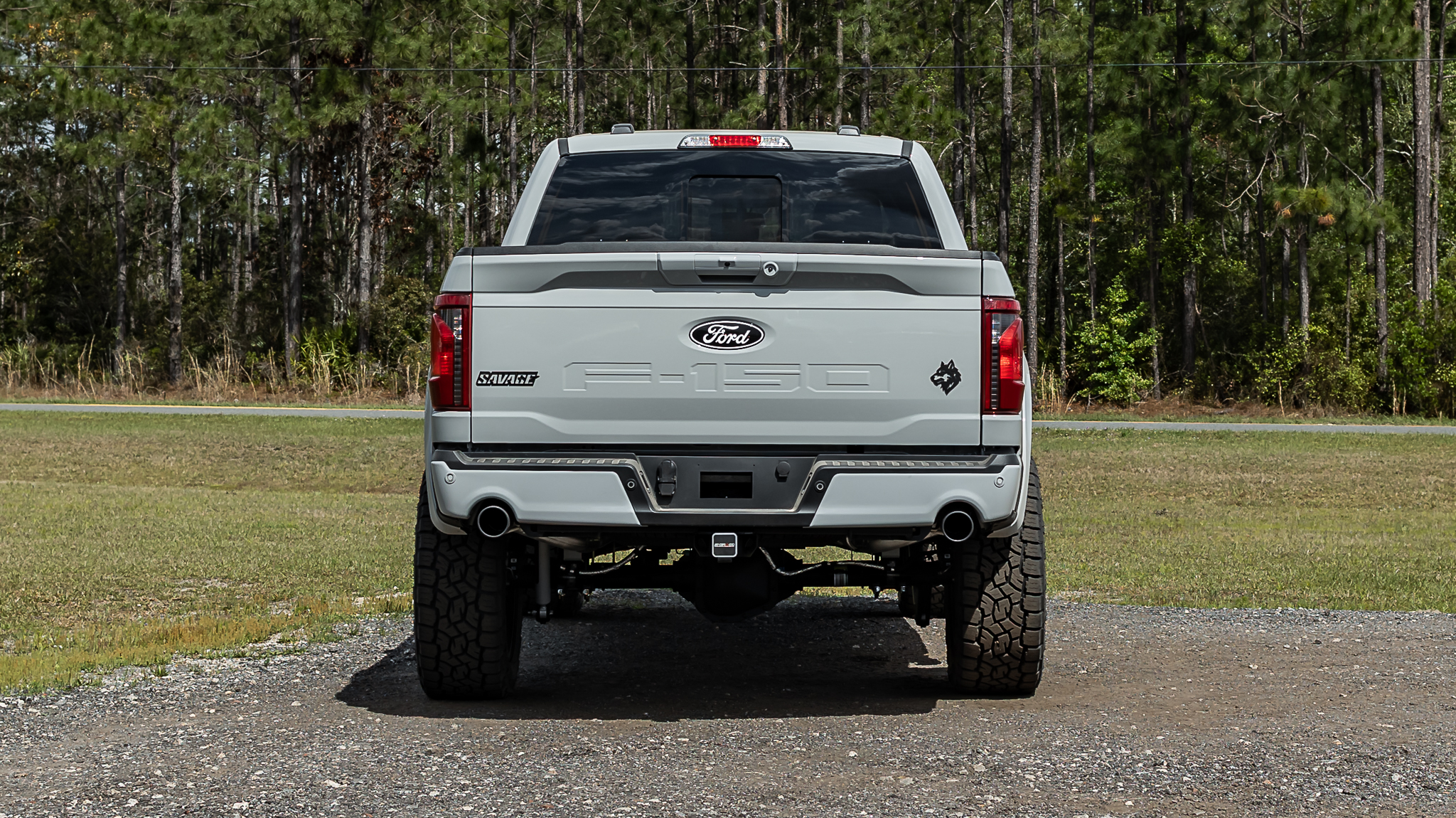 Ford F-150 Savage Avalanche