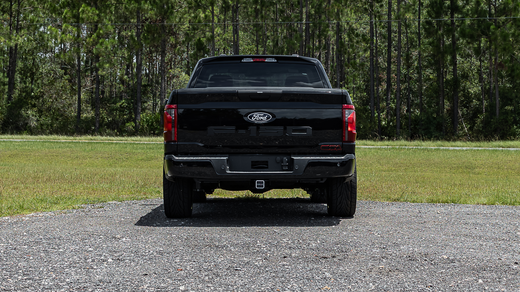 Ford F-150 Reg Cab Geneva Agate Black