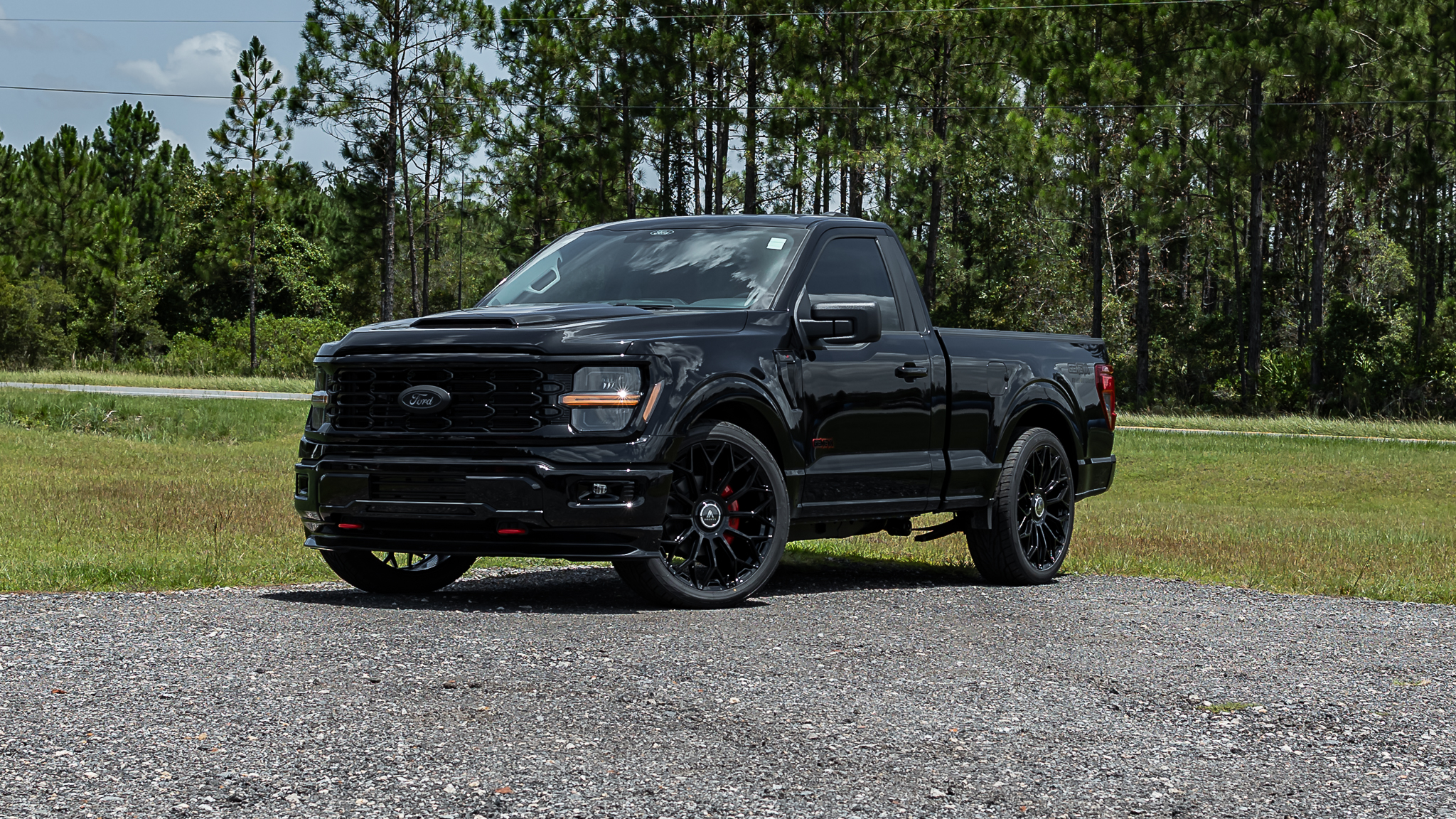 Ford F-150 Reg Cab Geneva Agate Black