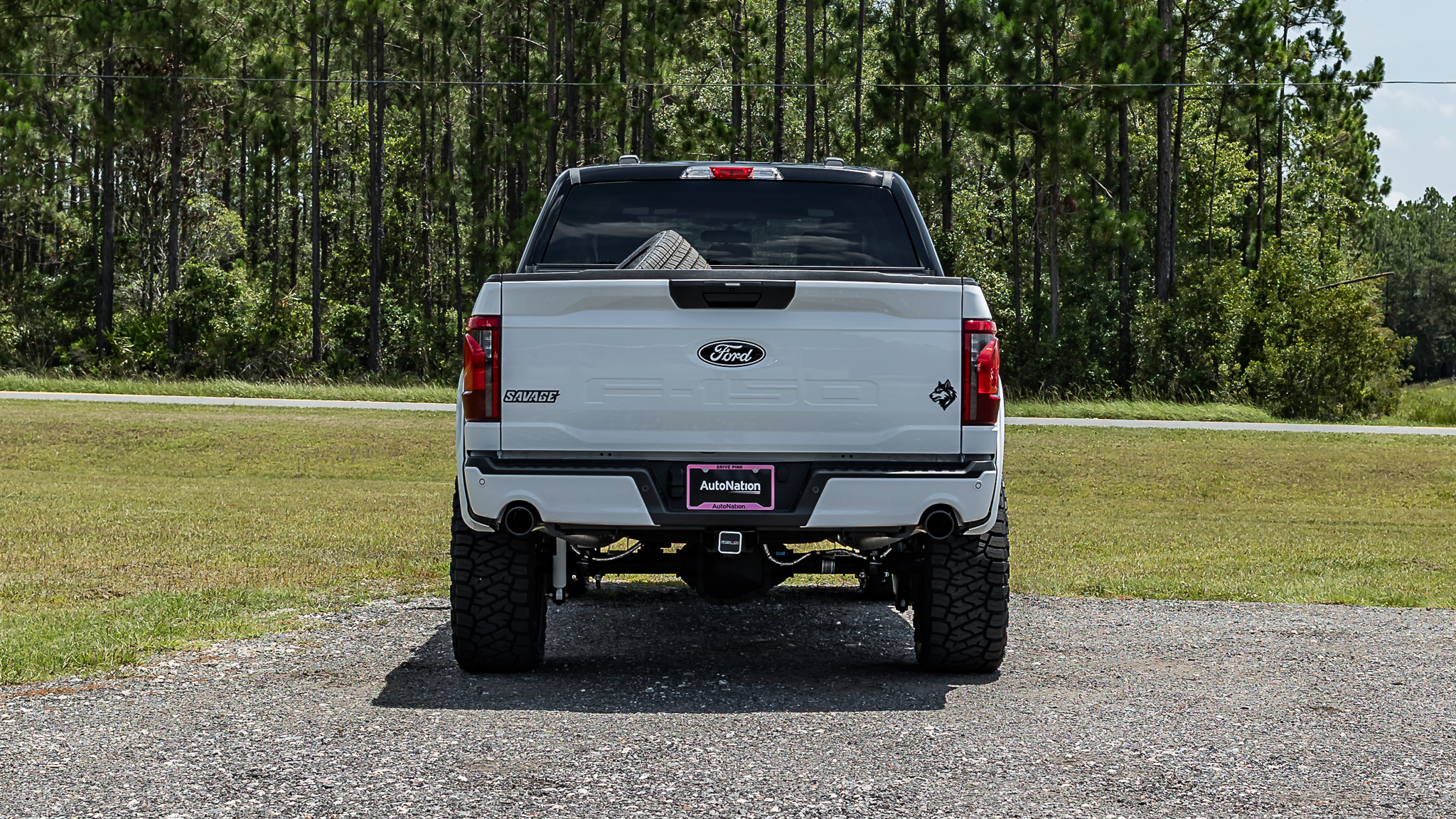Ford F-150 Savage Oxford White