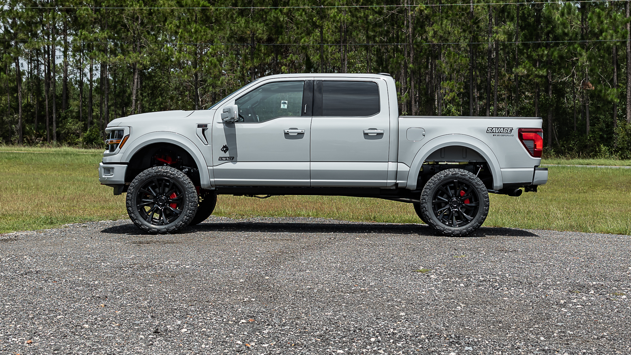 Ford F-150 Savage Avalanche