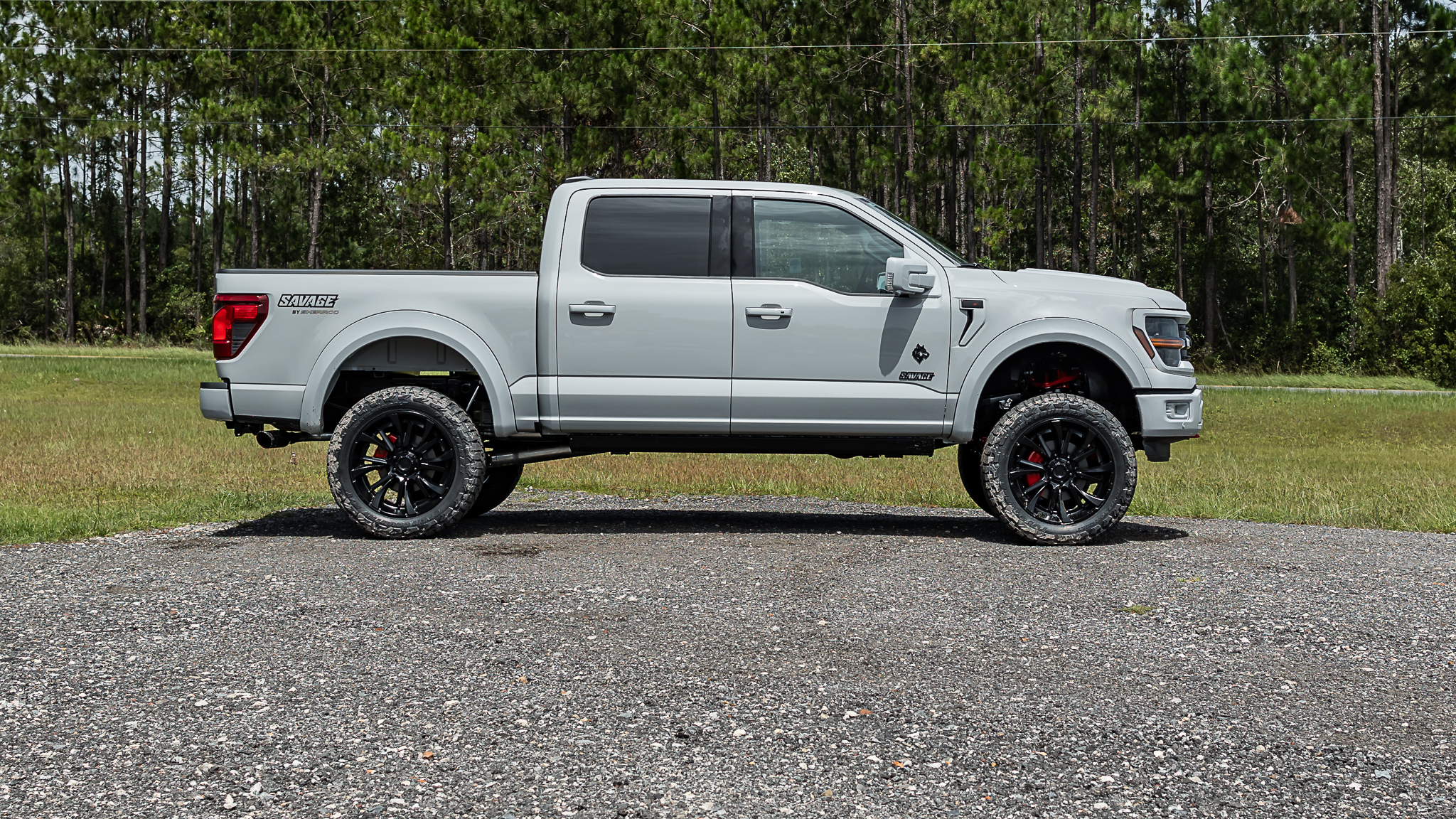 Ford F-150 Savage Avalanche
