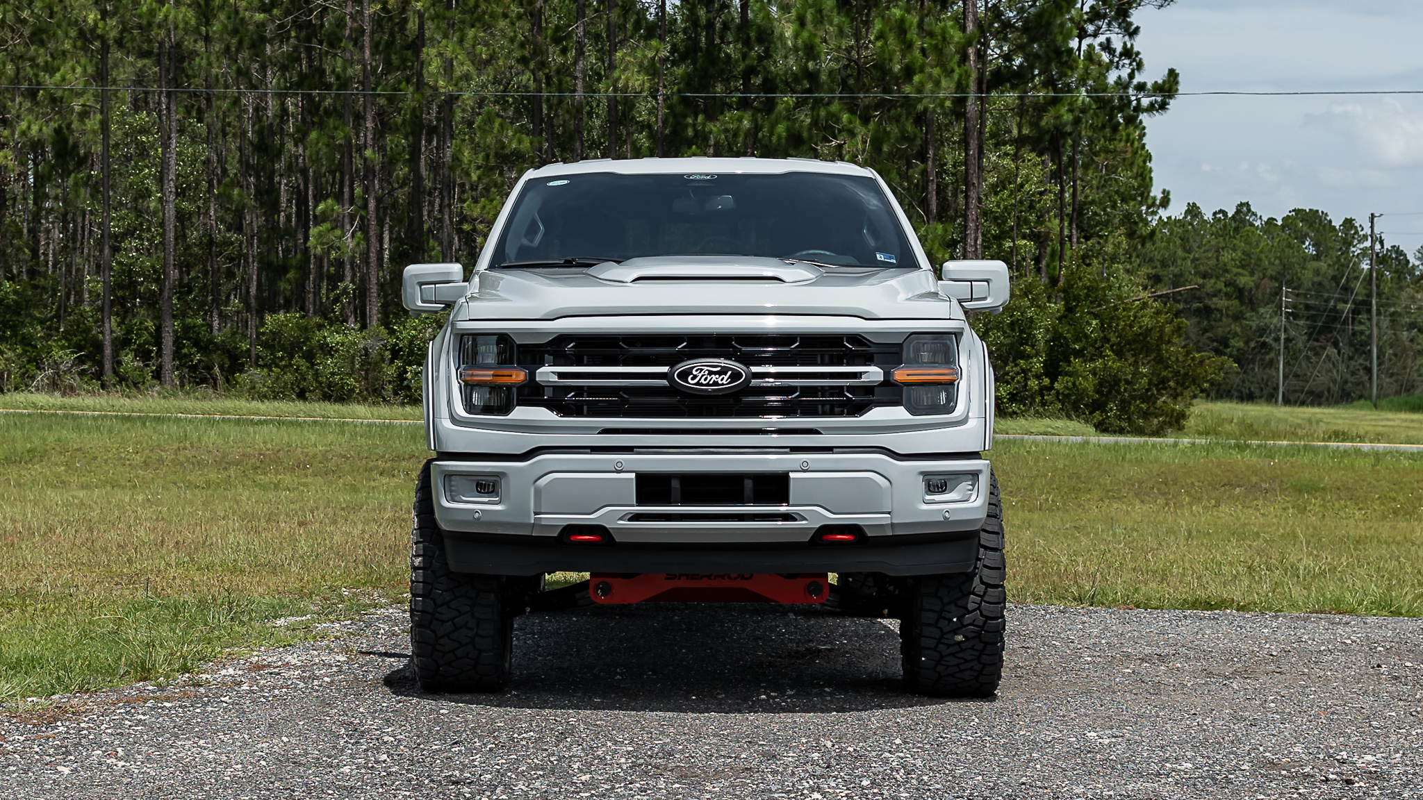 Ford F-150 Savage Avalanche