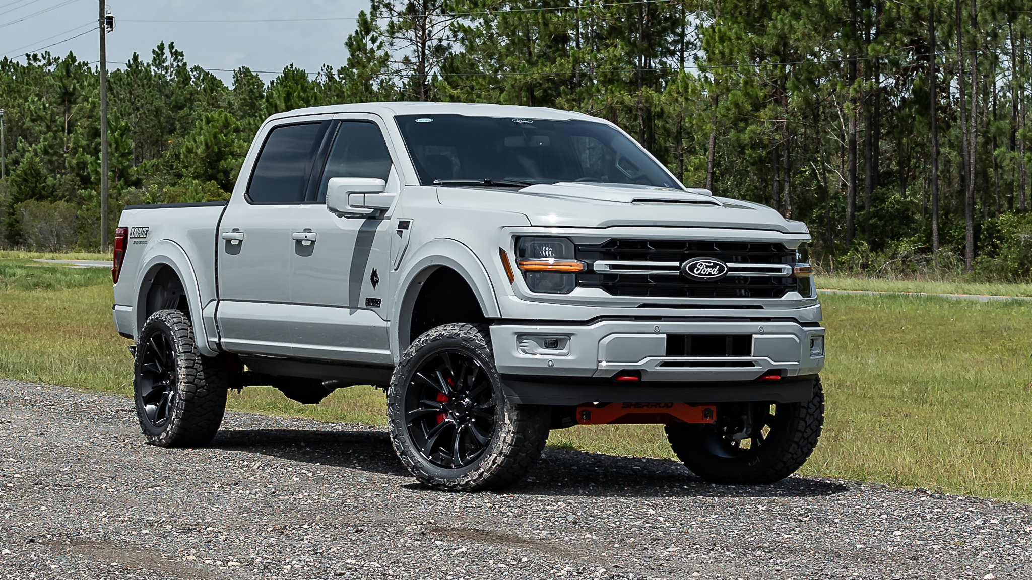 Ford F-150 Savage Avalanche